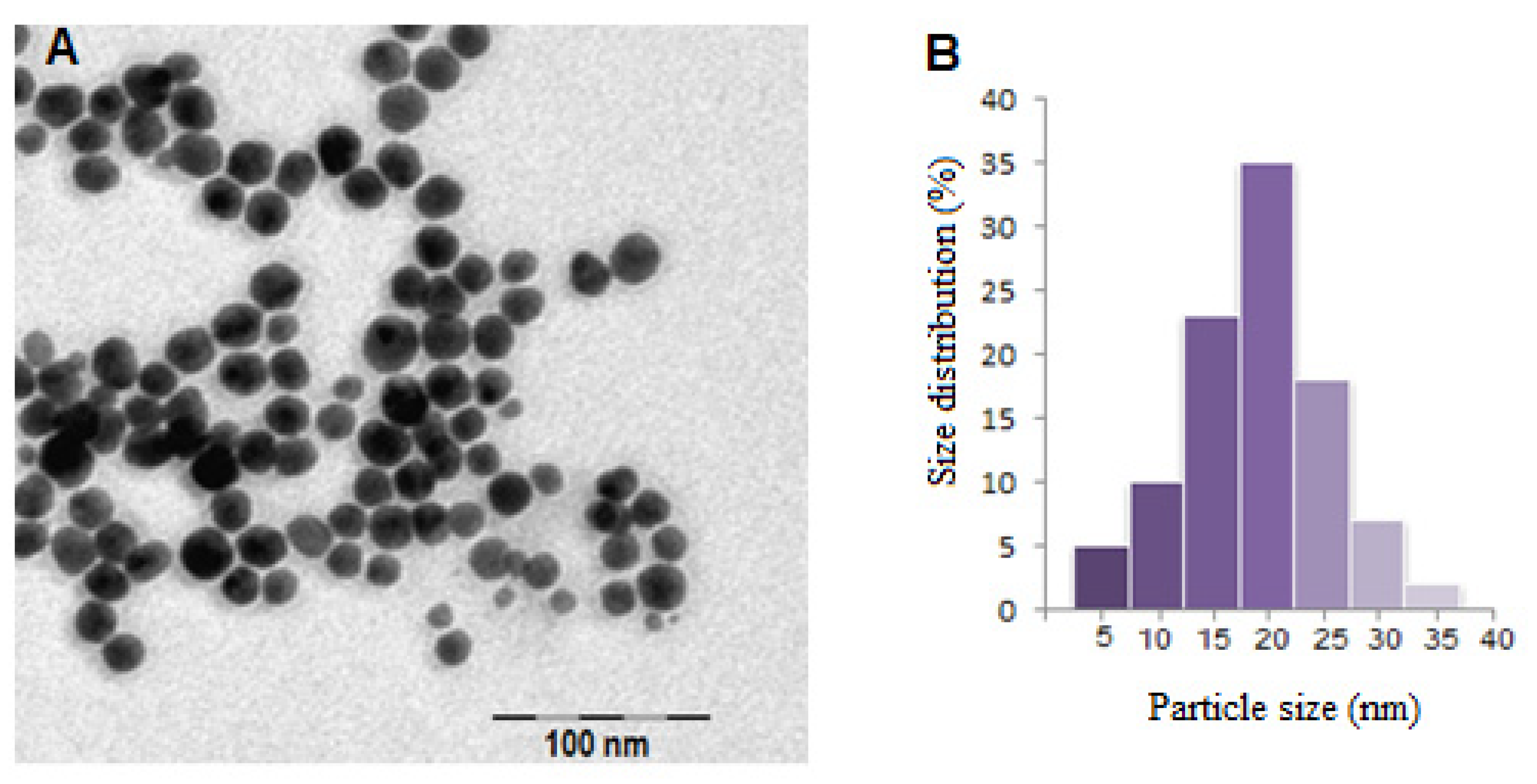 Nanomaterials 13 01101 g004