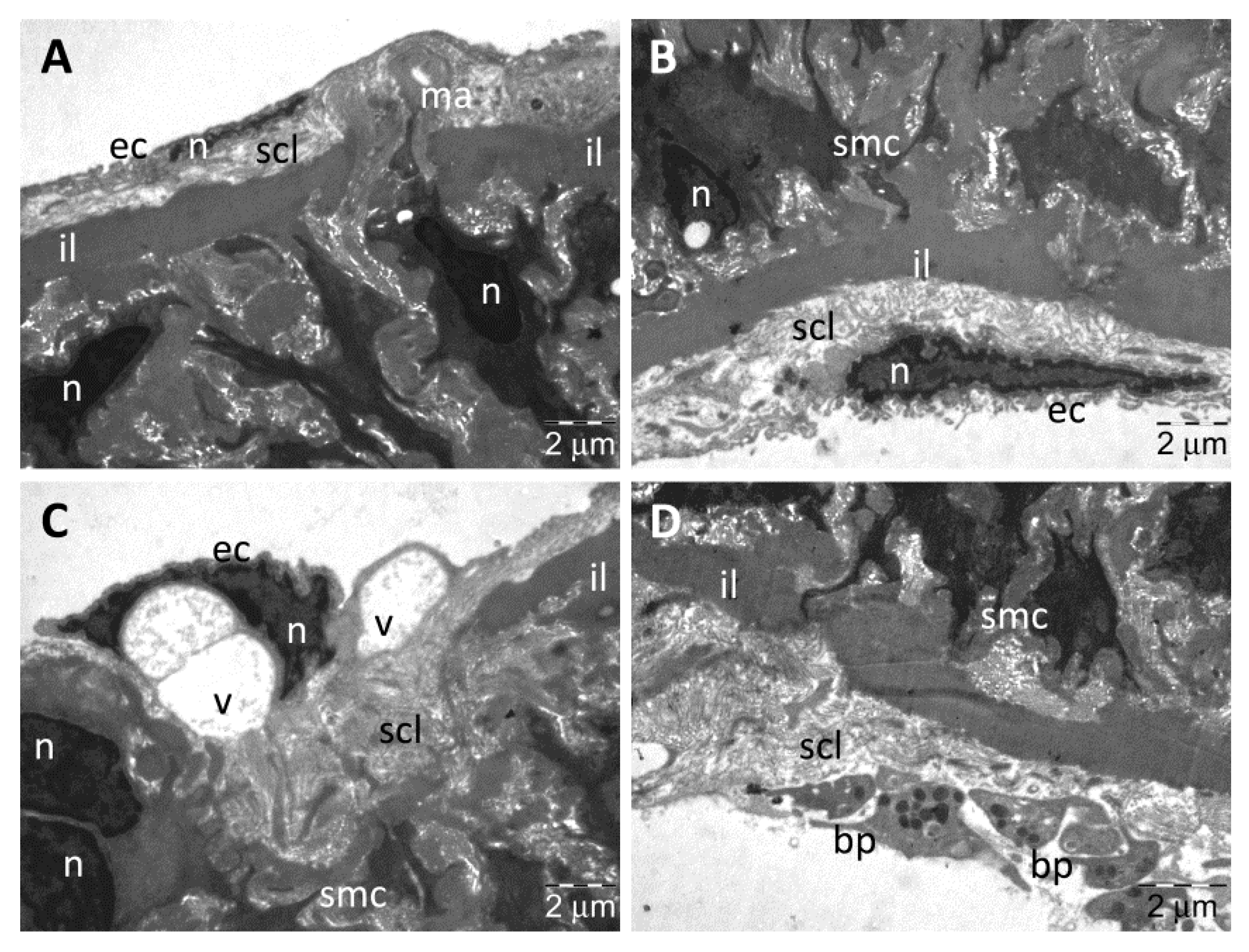 Nanomaterials 13 01101 g009