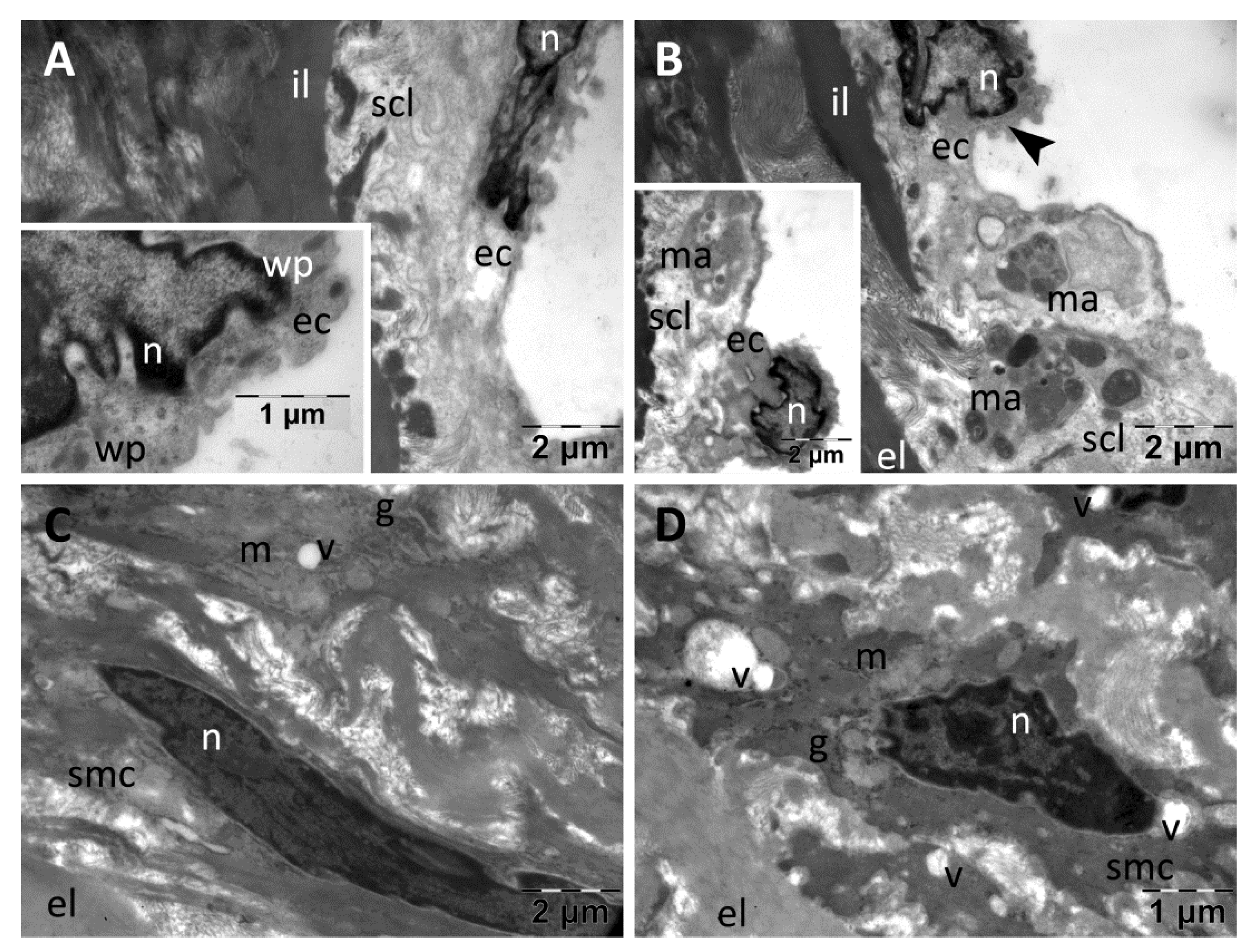 Nanomaterials 13 01101 g010