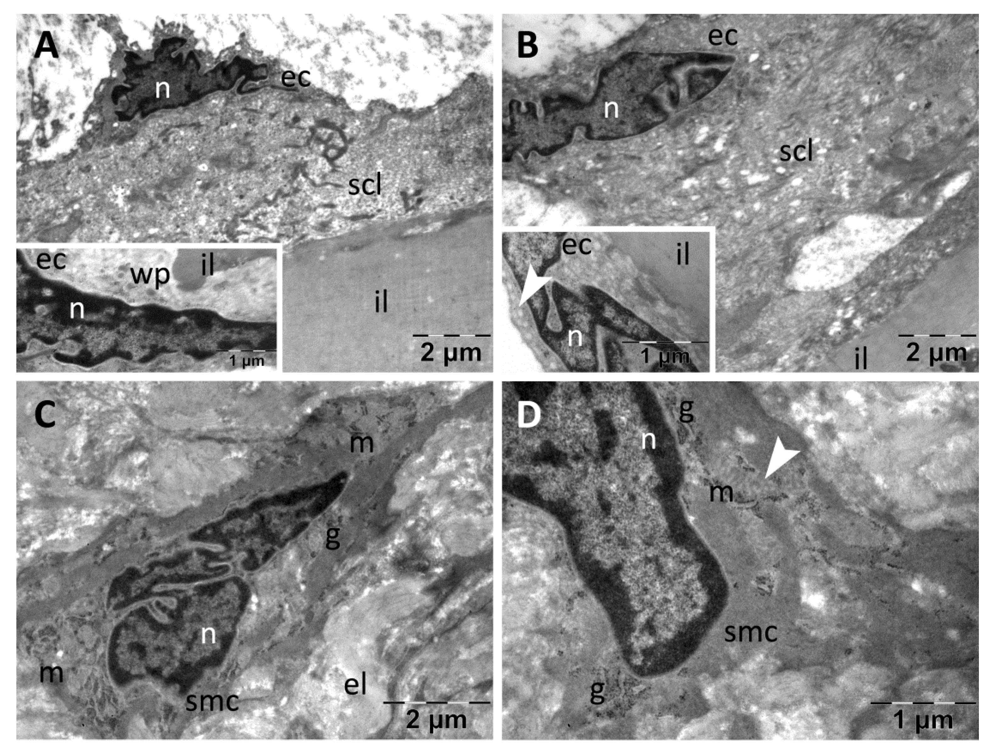 Nanomaterials 13 01101 g012