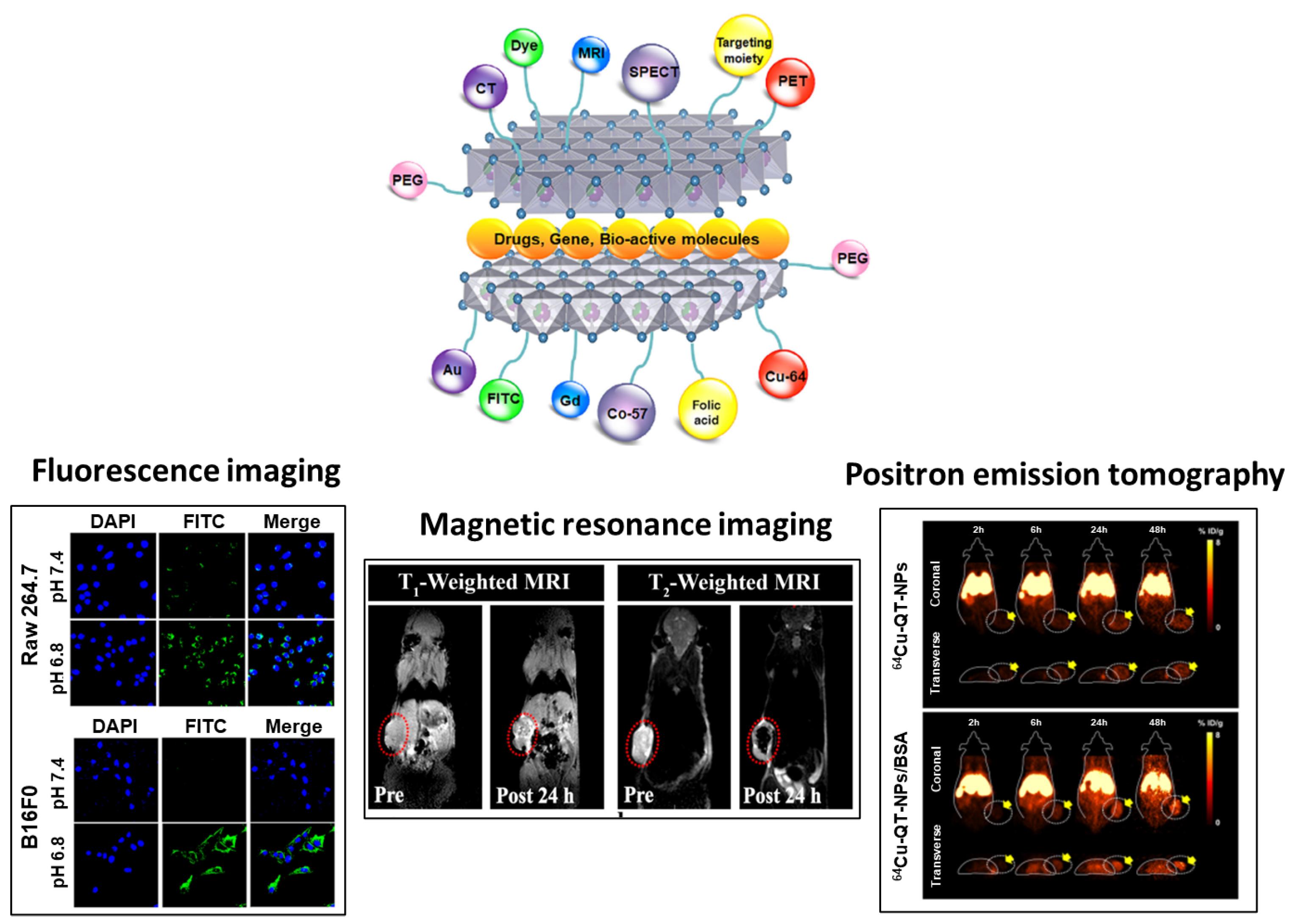 Nanomaterials 13 01102 g007