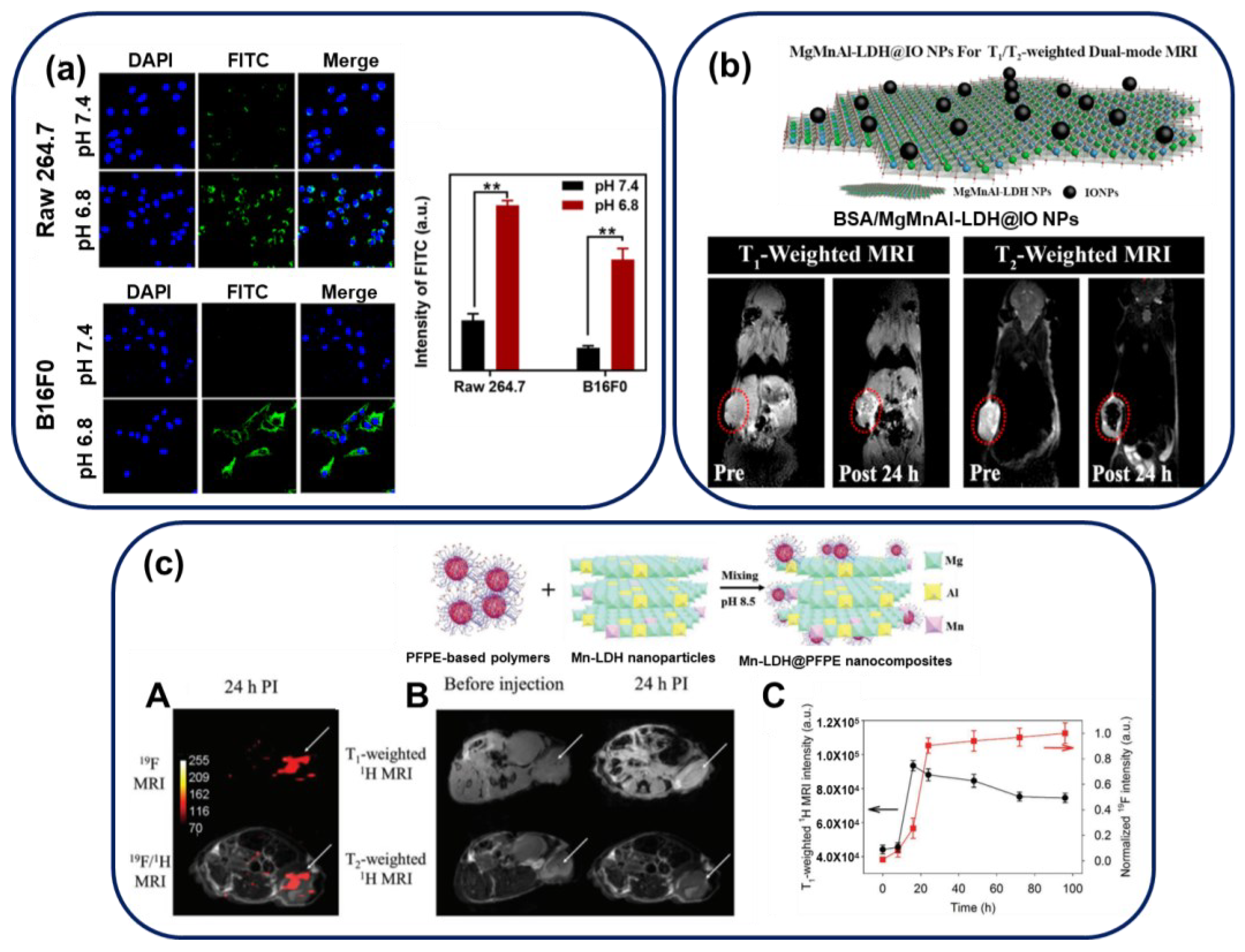 Nanomaterials 13 01102 g008