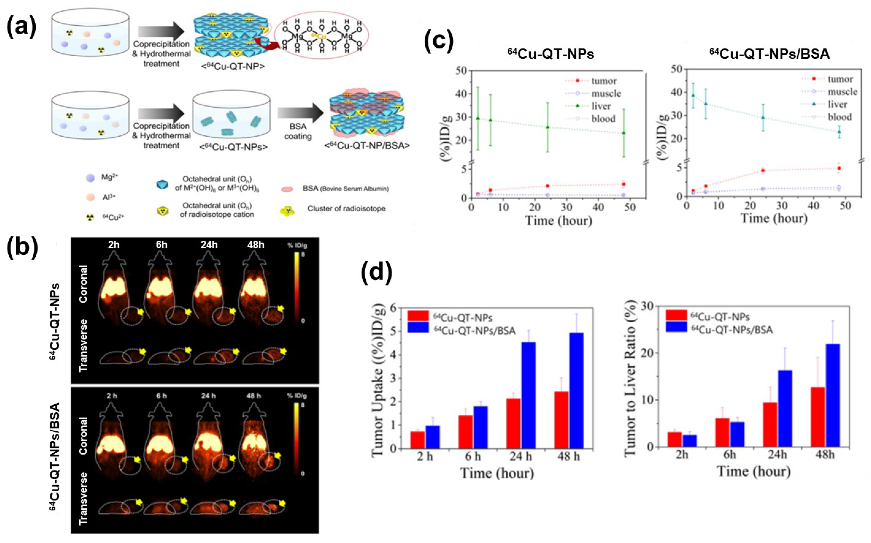 Nanomaterials 13 01102 g009