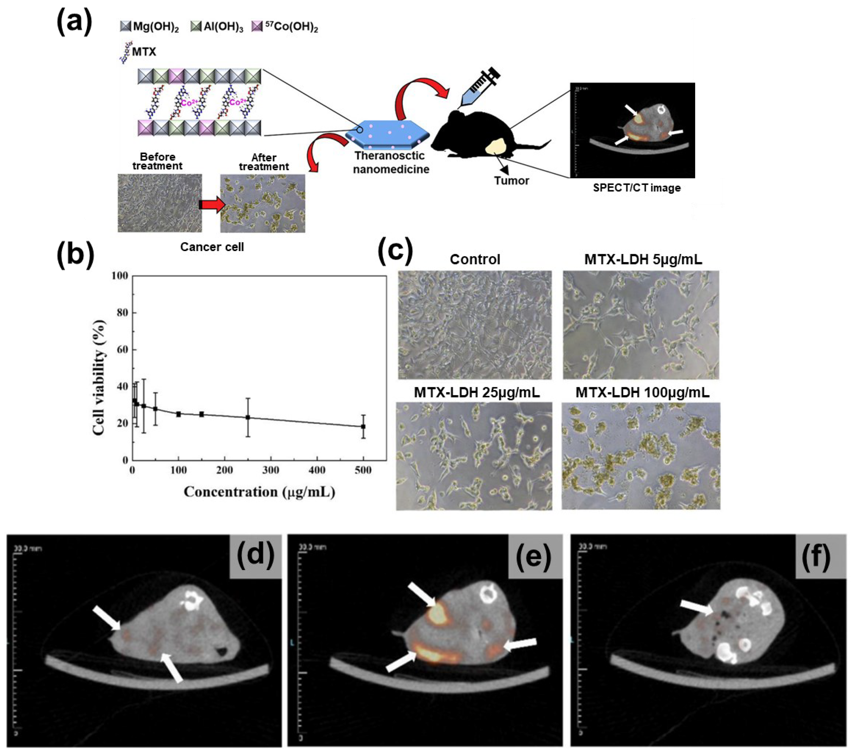 Nanomaterials 13 01102 g010