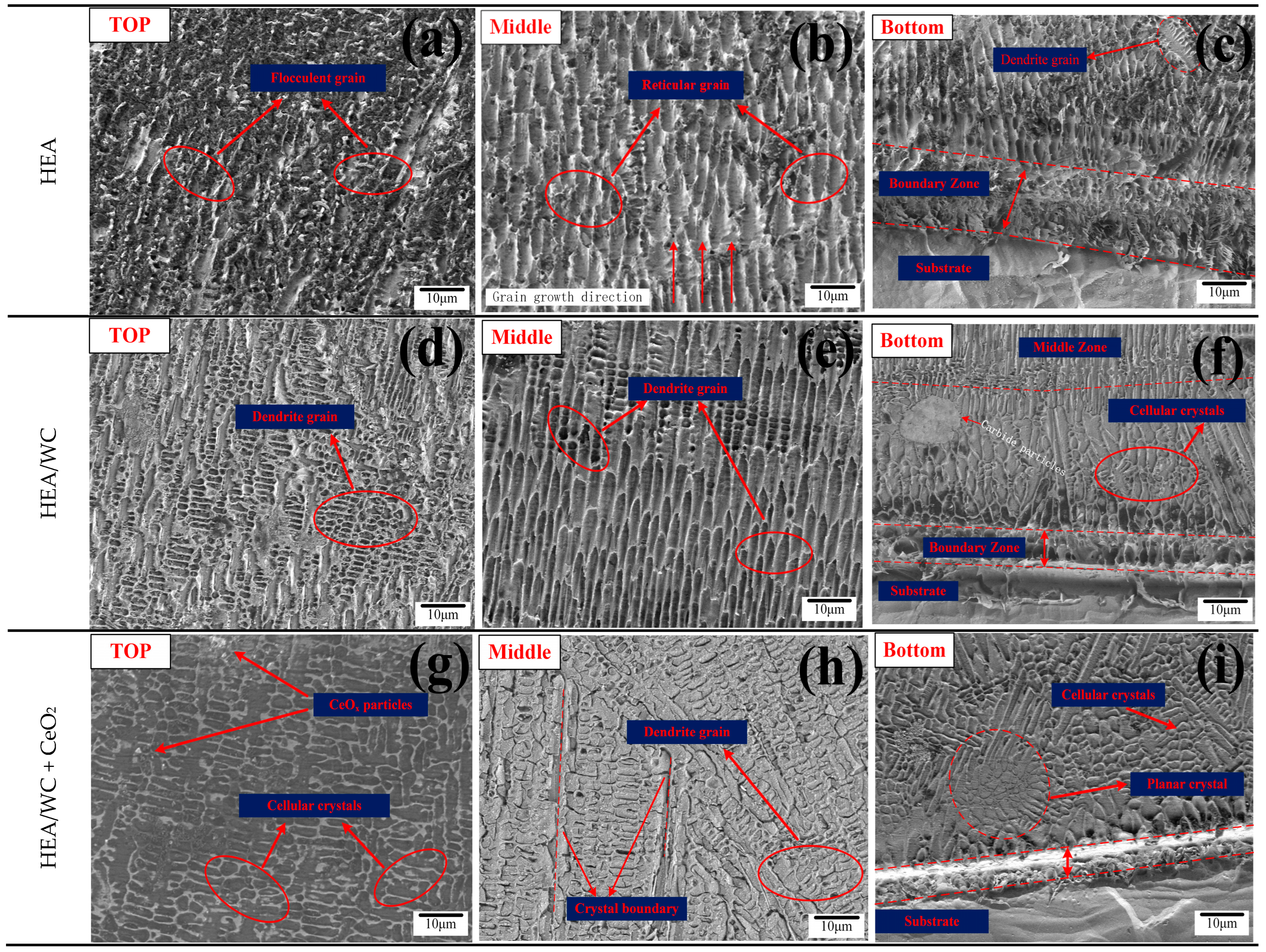 Nanomaterials 13 01104 g005 550