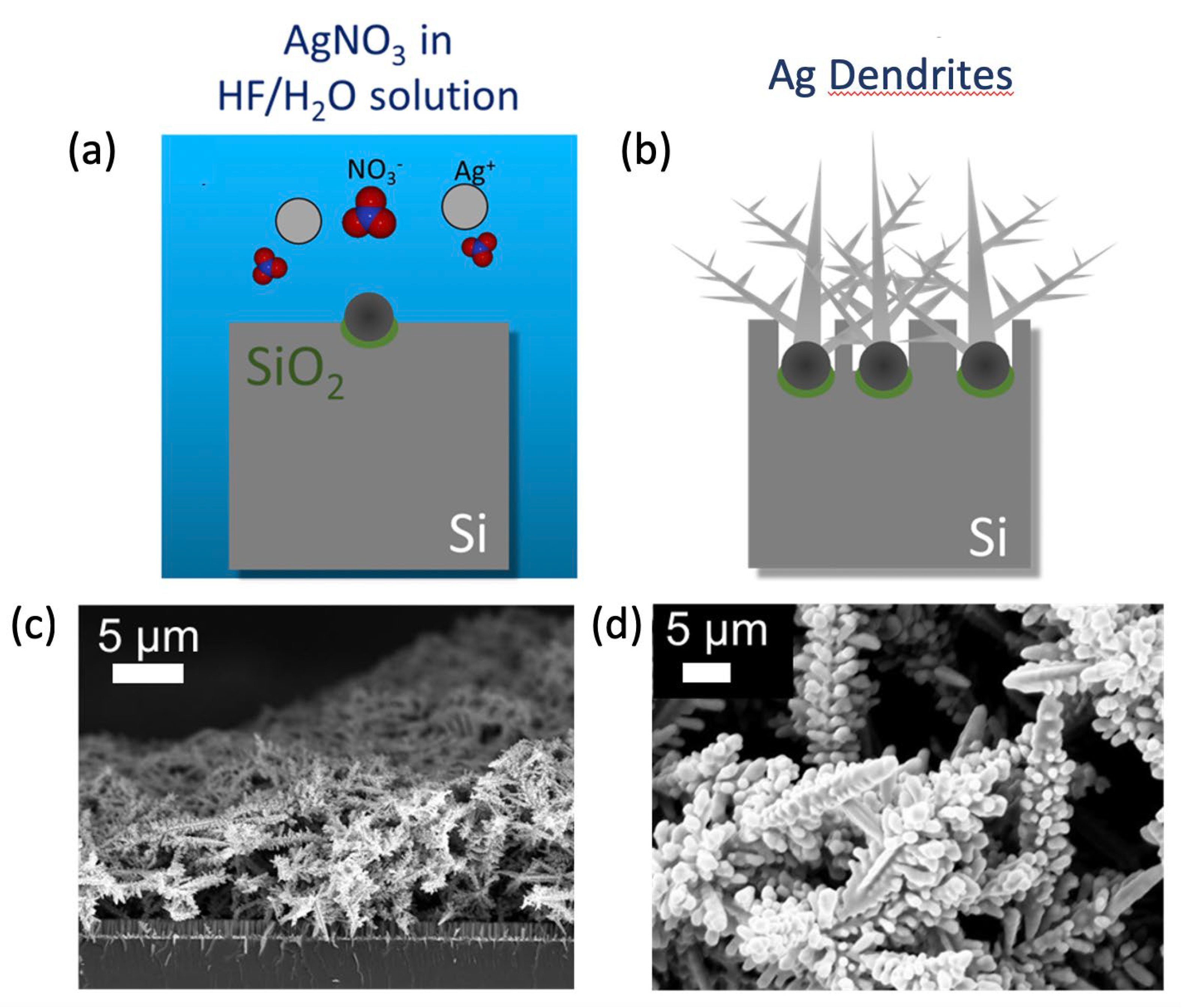 Nanomaterials 13 01107 g001
