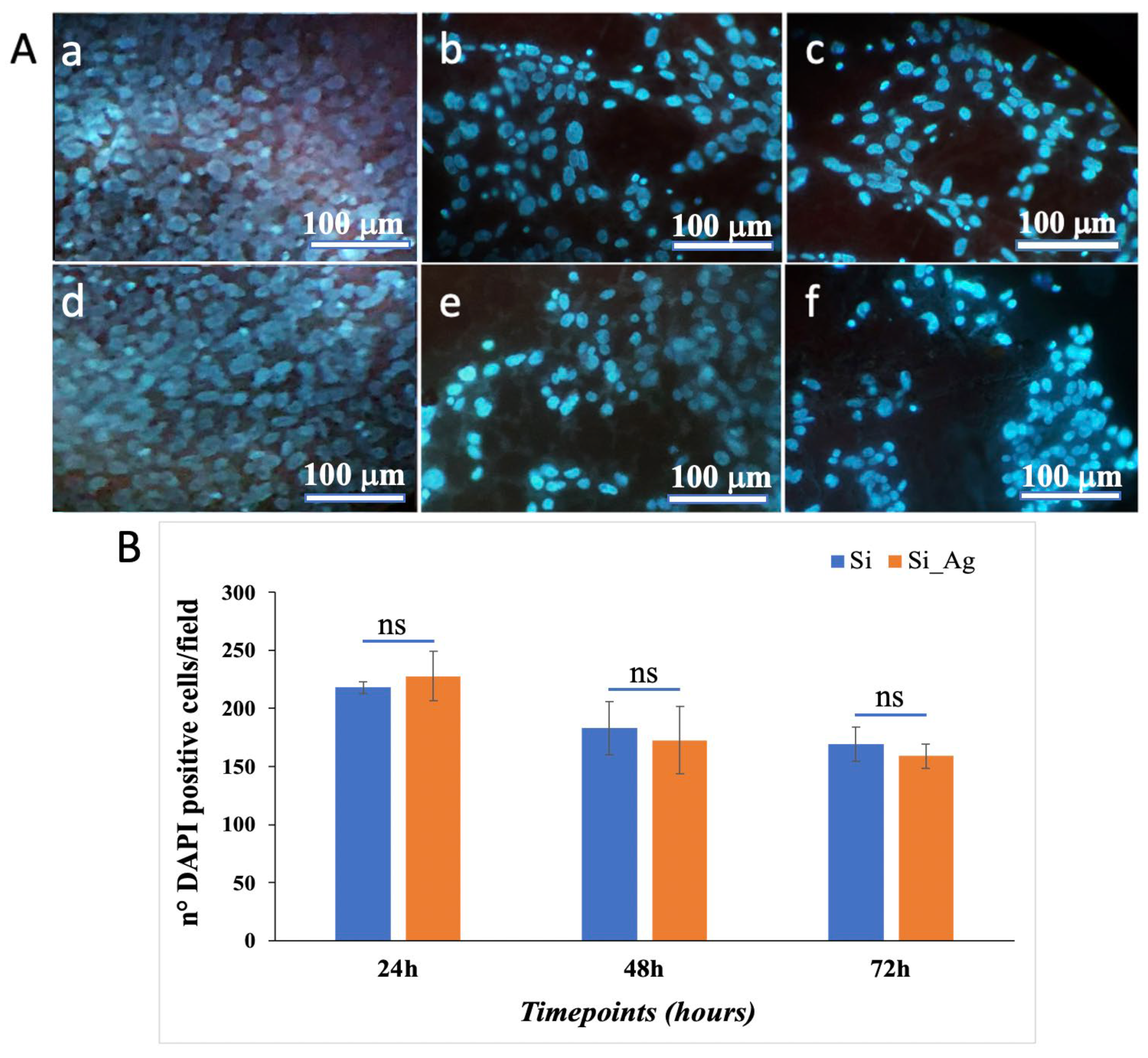 Nanomaterials 13 01107 g004
