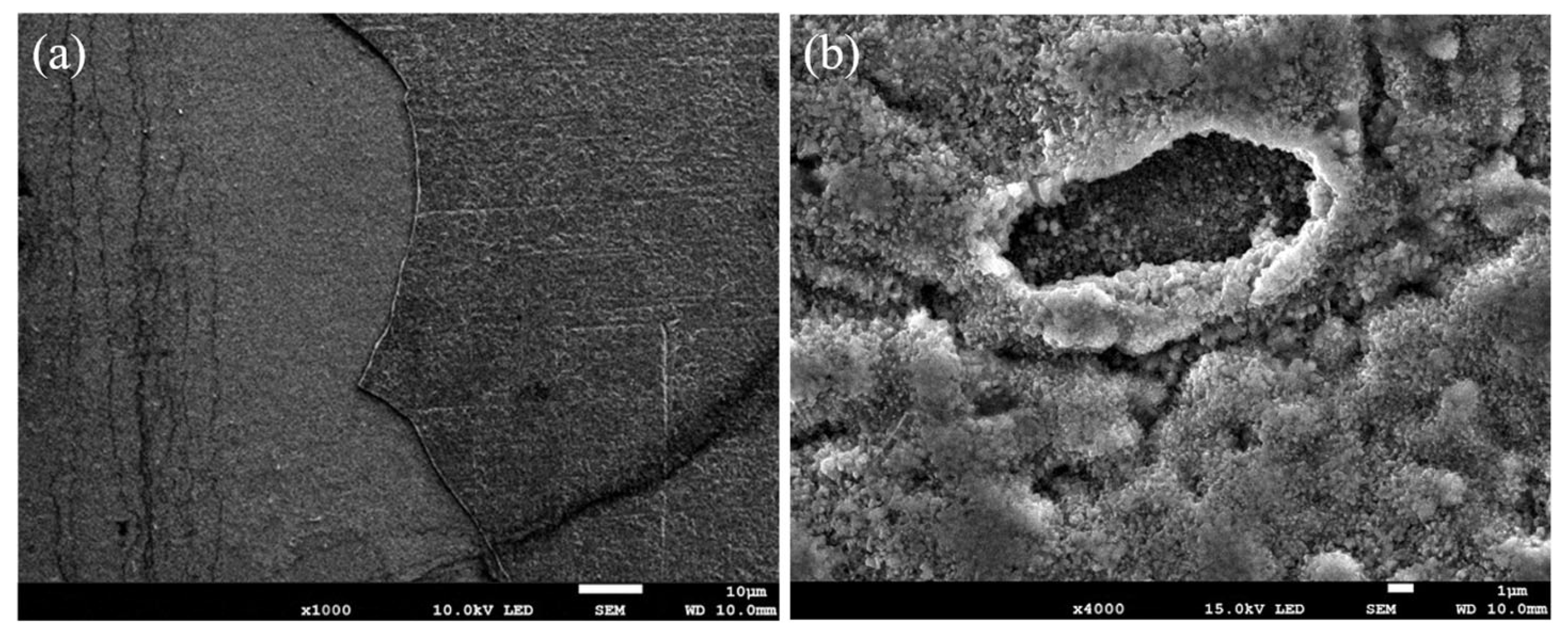 Nanomaterials 13 01112 g004 Nanomaterials 13 01112 g004