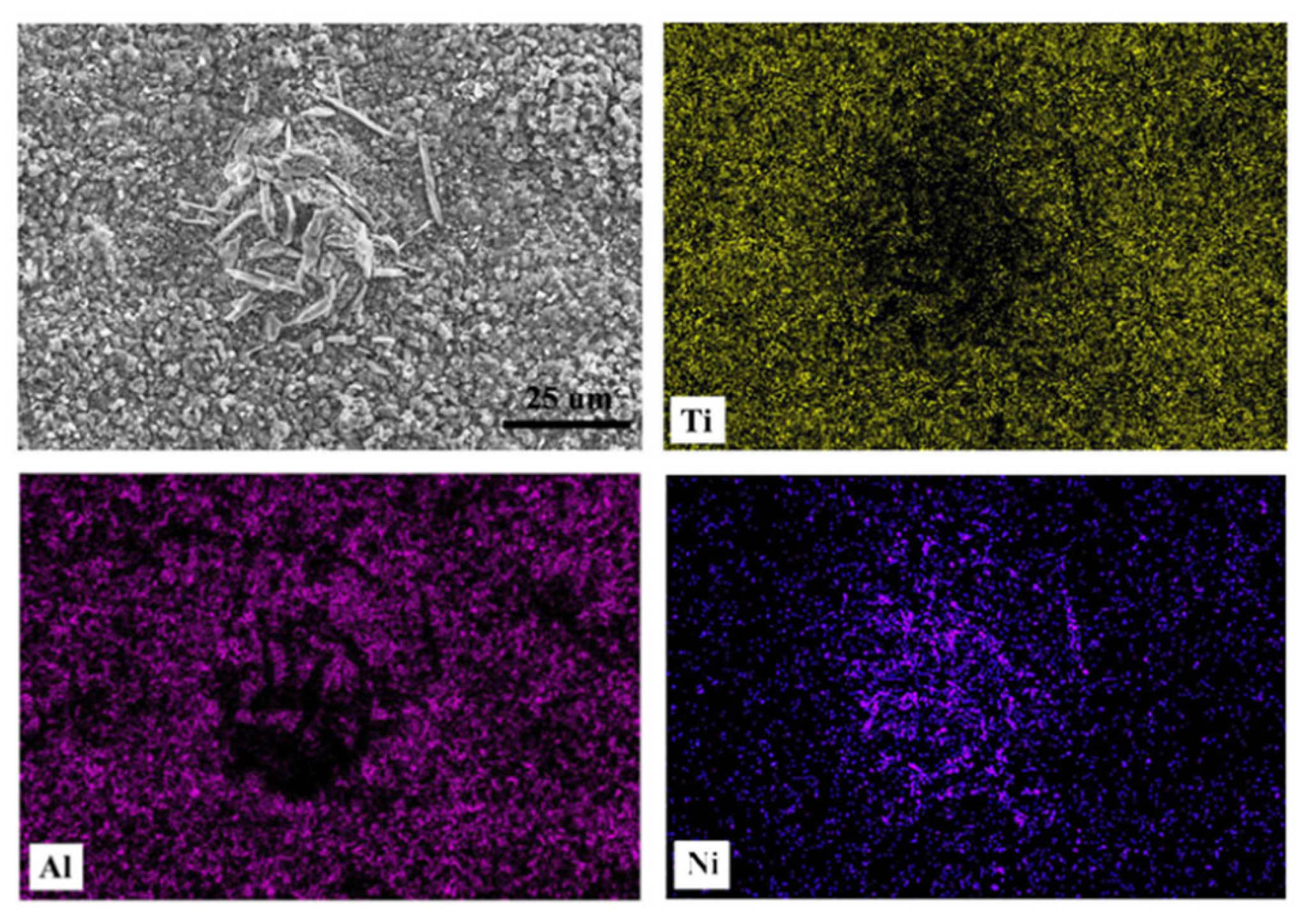 Effect of Nano Nd2O3 on the Microstructure and High