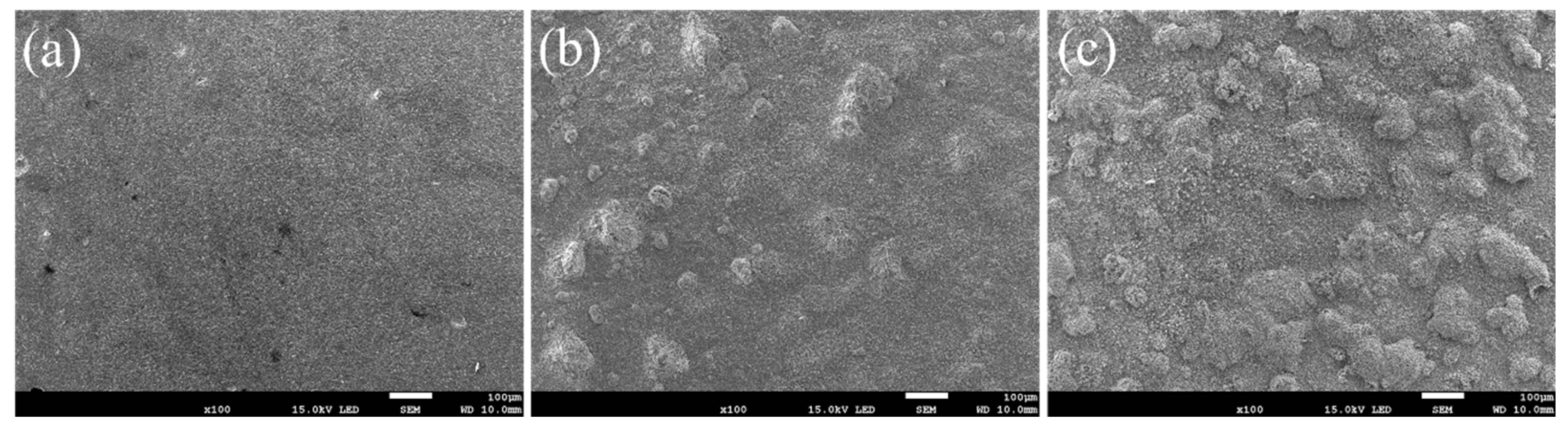 Nanomaterials 13 01112 g010 Nanomaterials 13 01112 g010