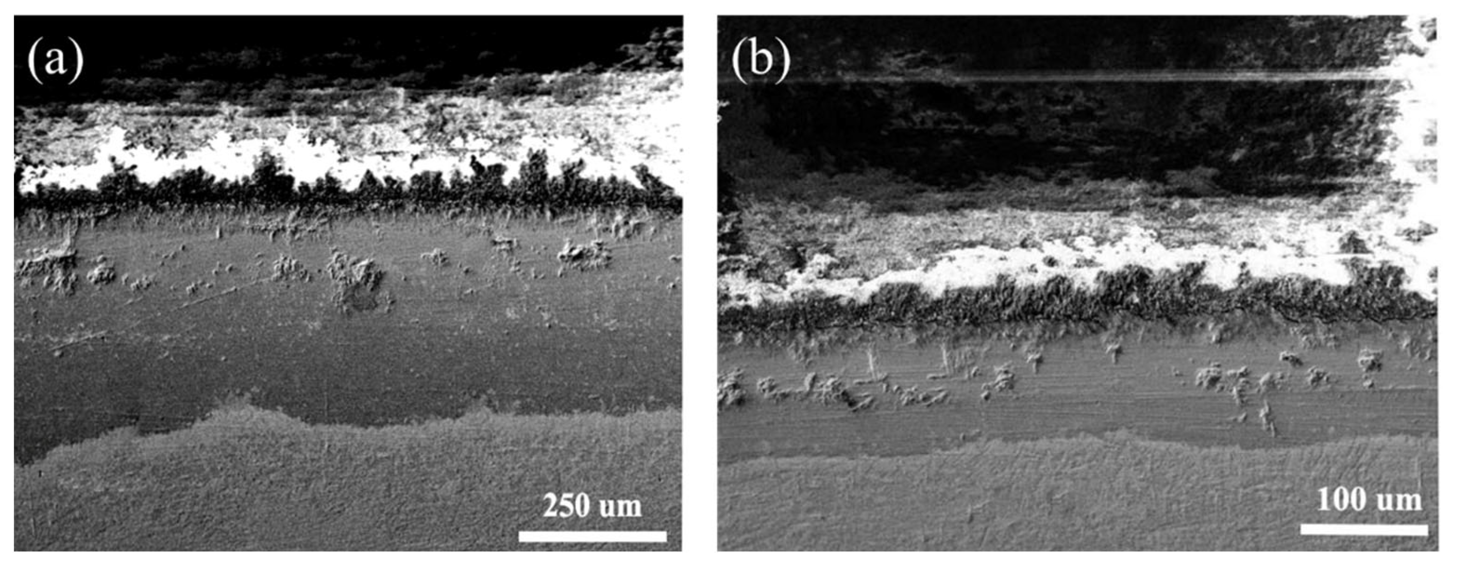 Nanomaterials 13 01112 g012 Nanomaterials 13 01112 g012
