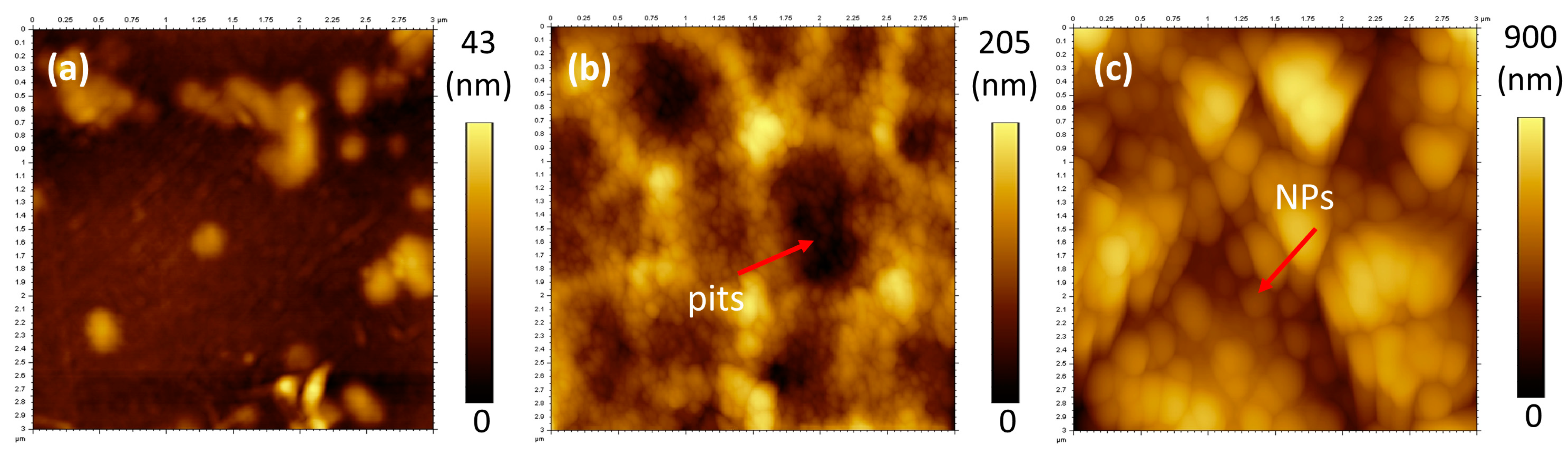 Nanomaterials 13 01117 g003