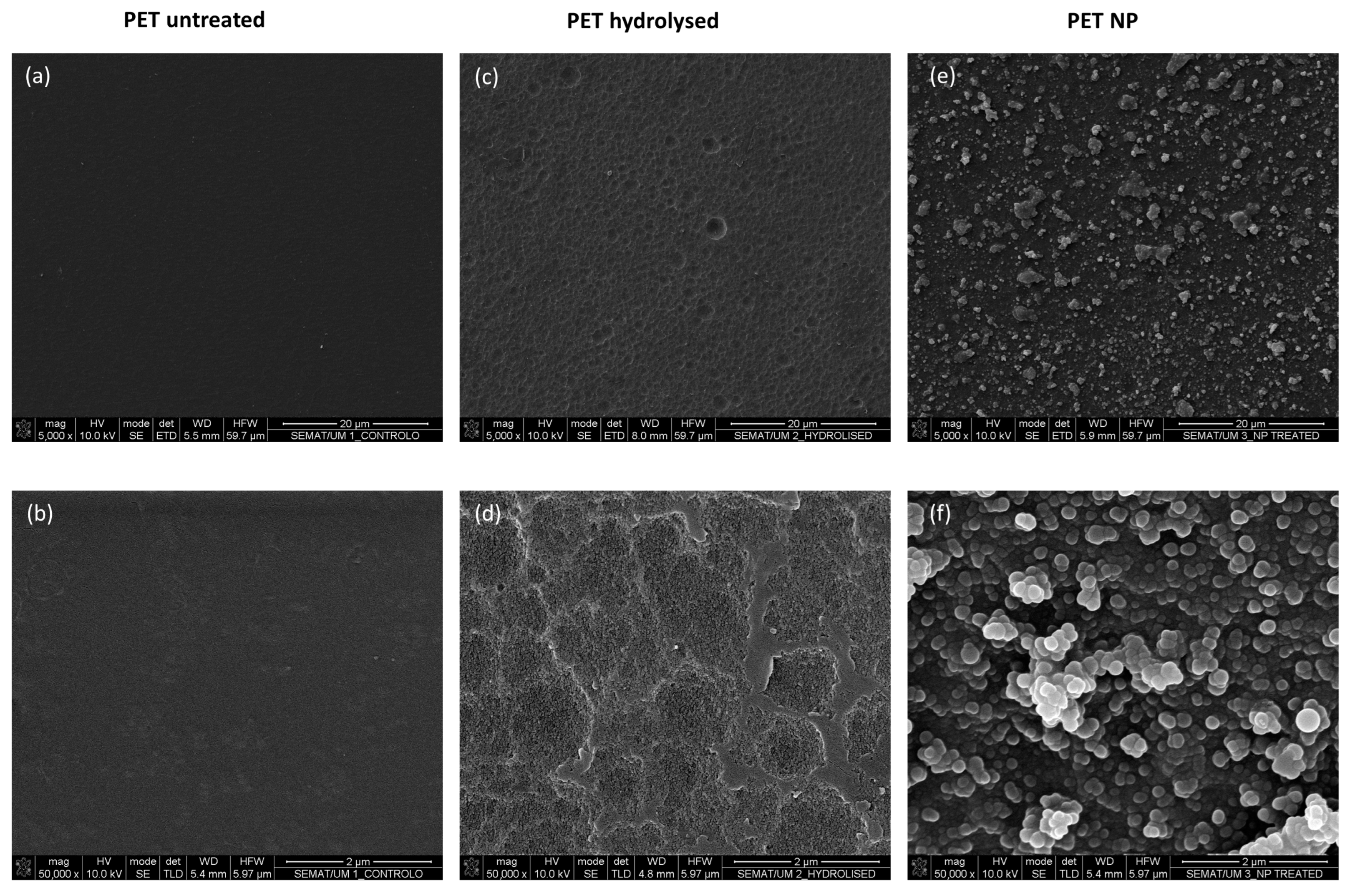 Nanomaterials 13 01117 g004