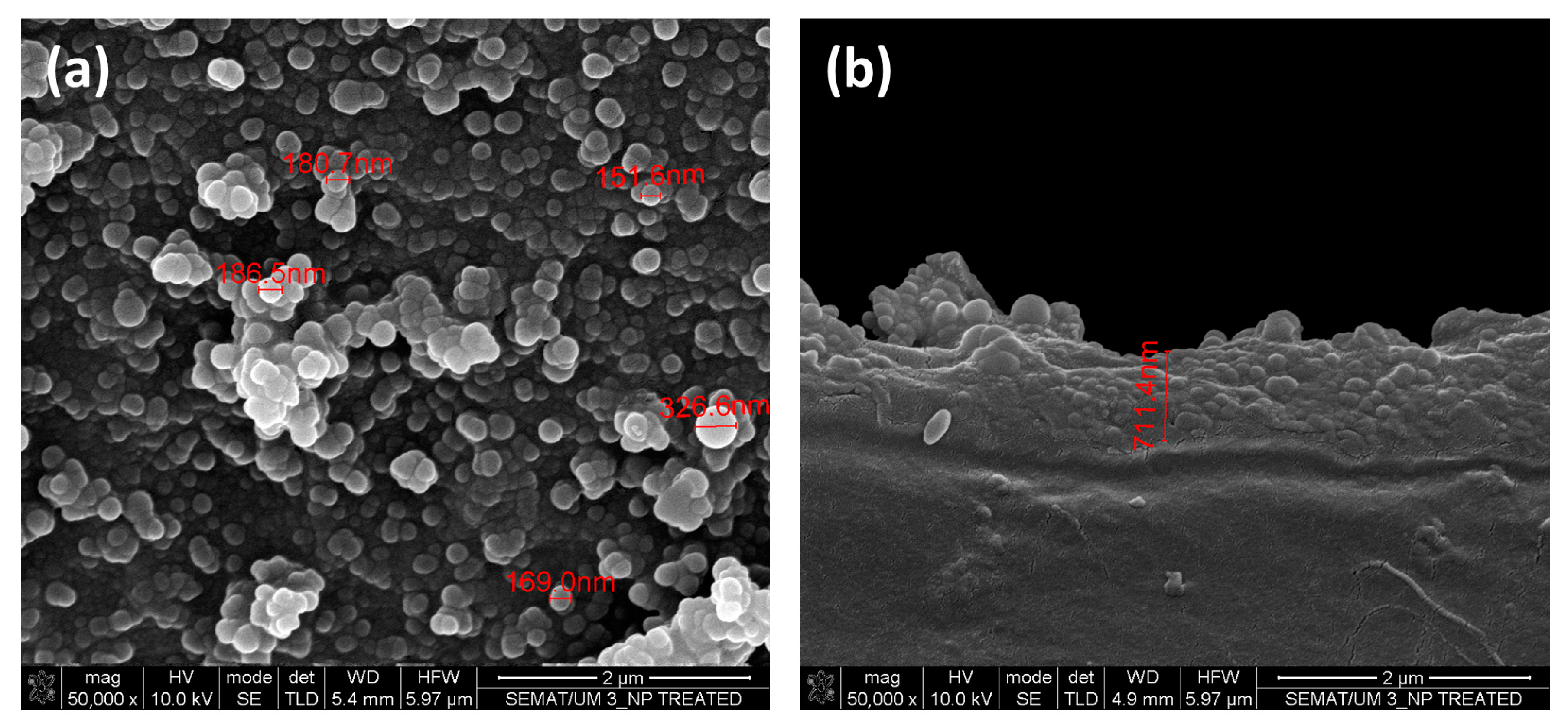 Nanomaterials 13 01117 g005