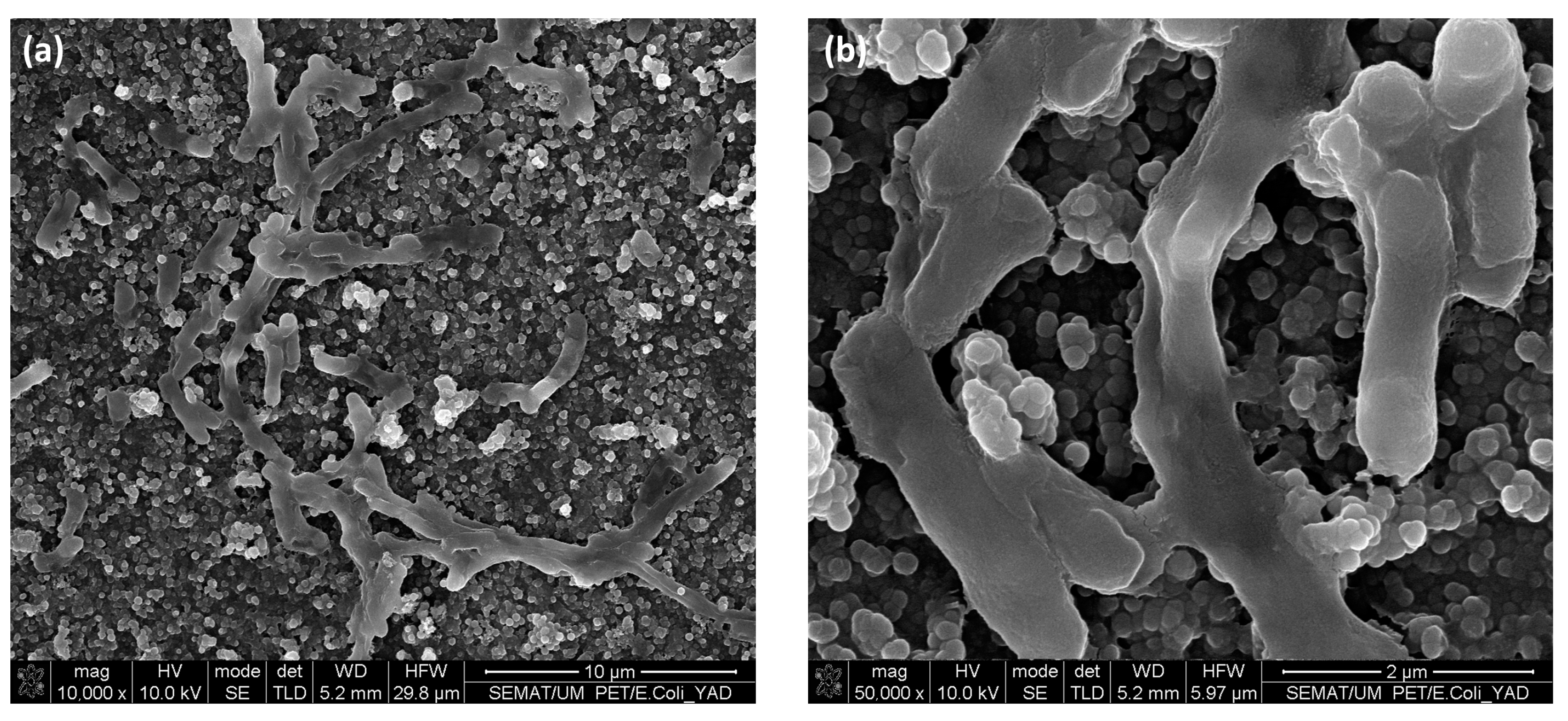 Nanomaterials 13 01117 g009