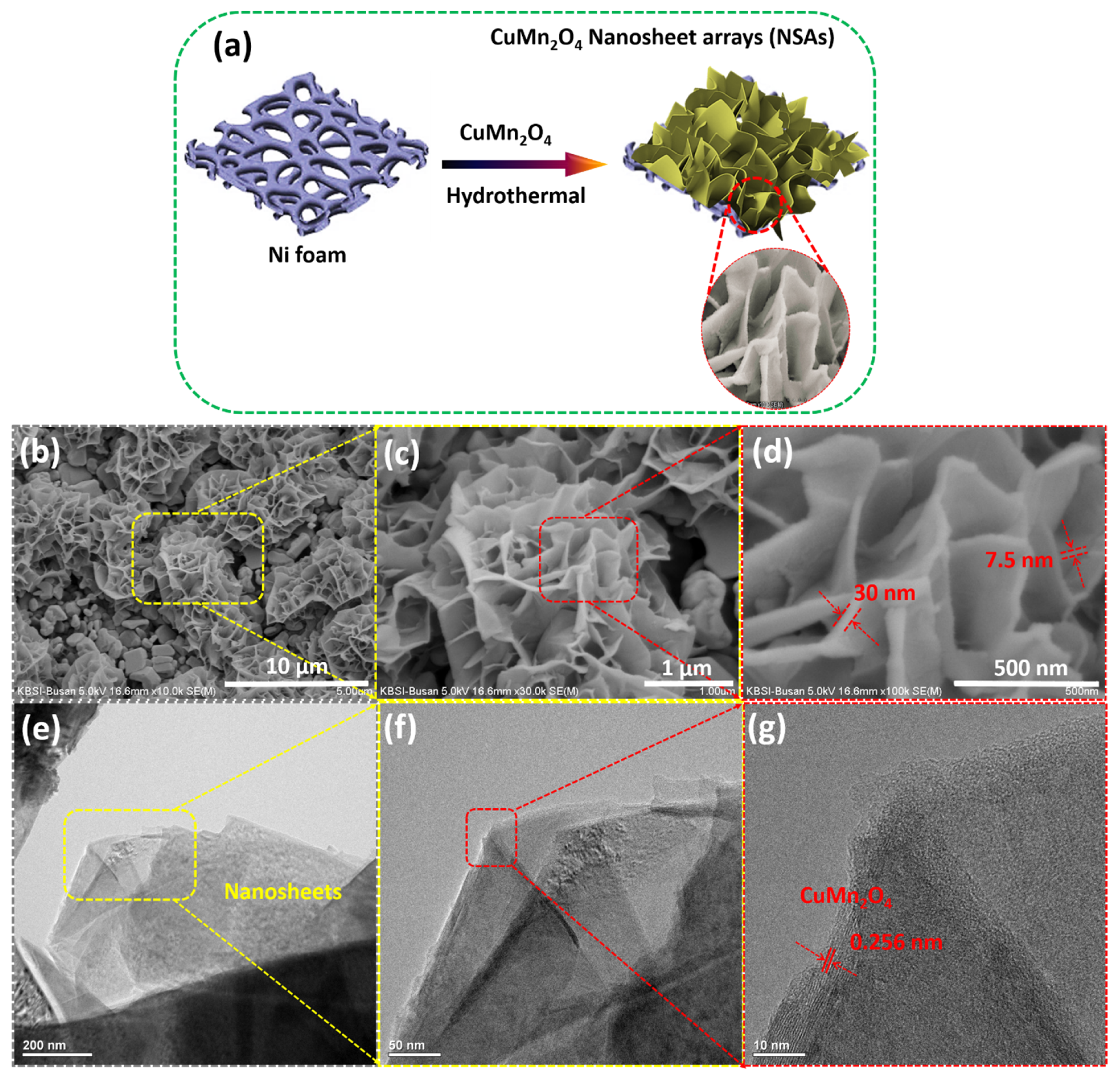 Nanomaterials 13 01125 g002