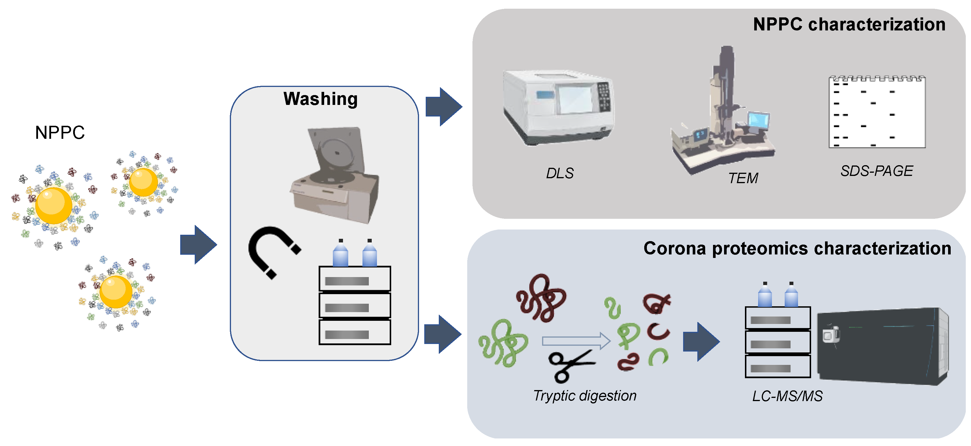 Nanomaterials 13 01132 g003 Nanomaterials 13 01132 g003
