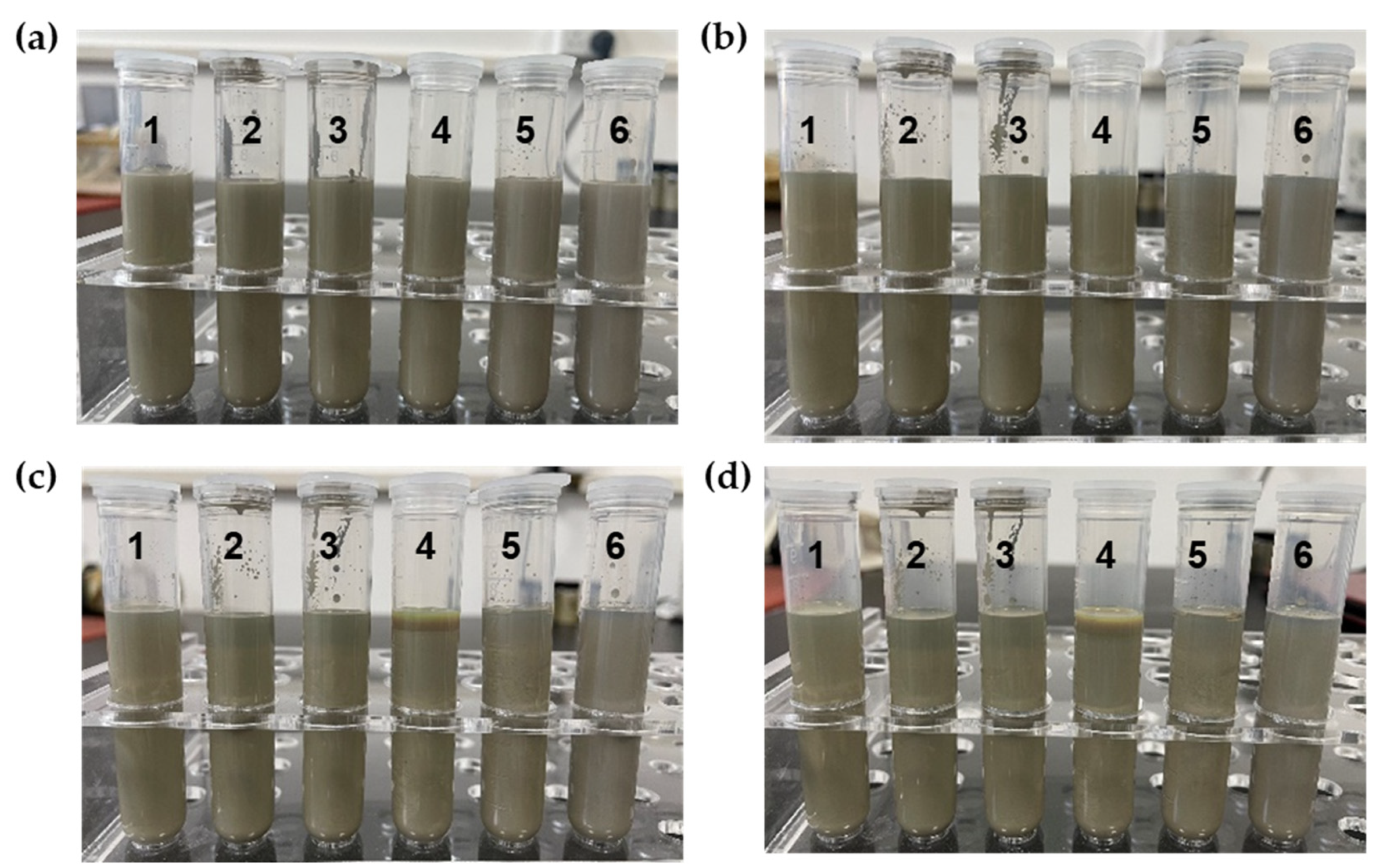 Nanomaterials 13 01137 g008 Nanomaterials 13 01137 g008