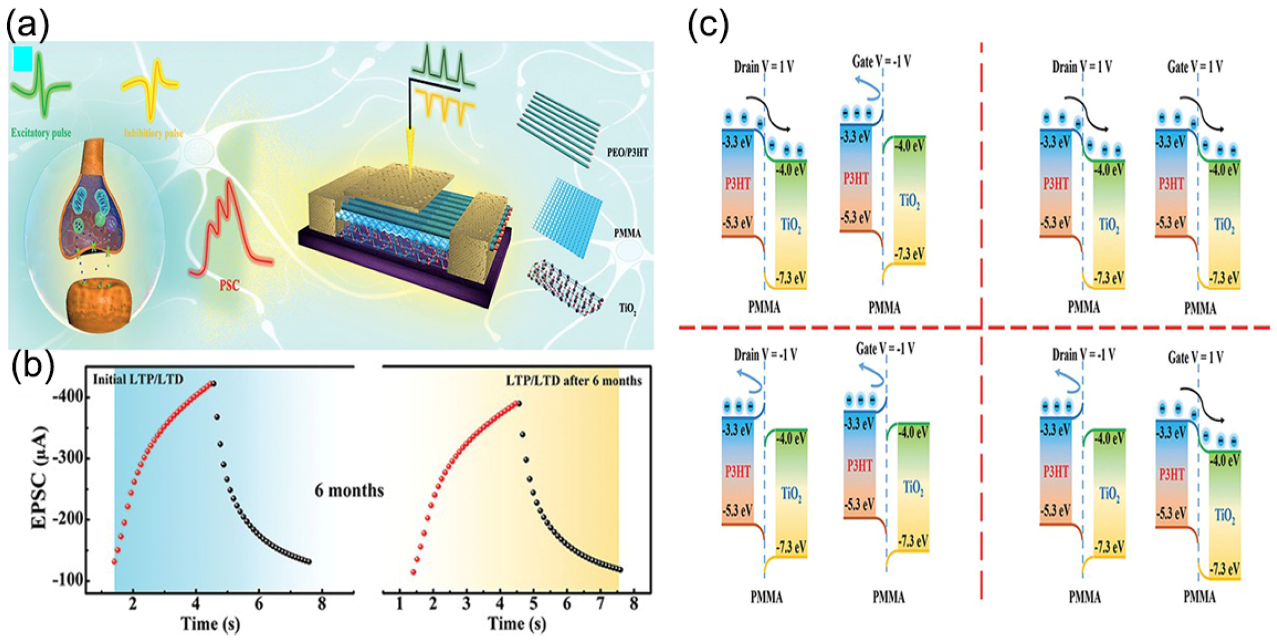 Nanomaterials 13 01141 g008