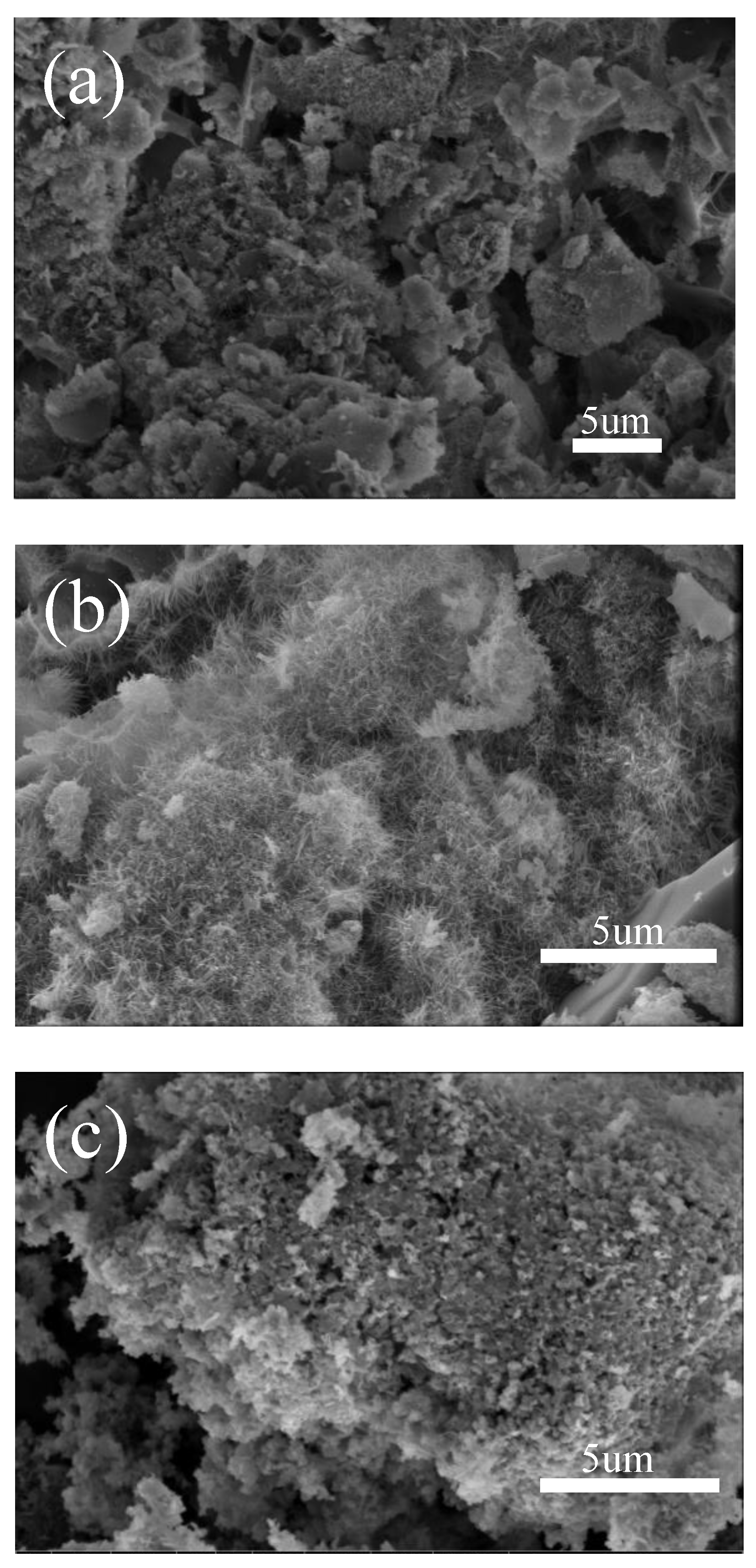 Nanomaterials 13 01143 g005 Nanomaterials 13 01143 g005