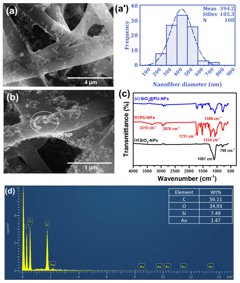 Nanomaterials 13 01146 g004 Nanomaterials 13 01146 g004