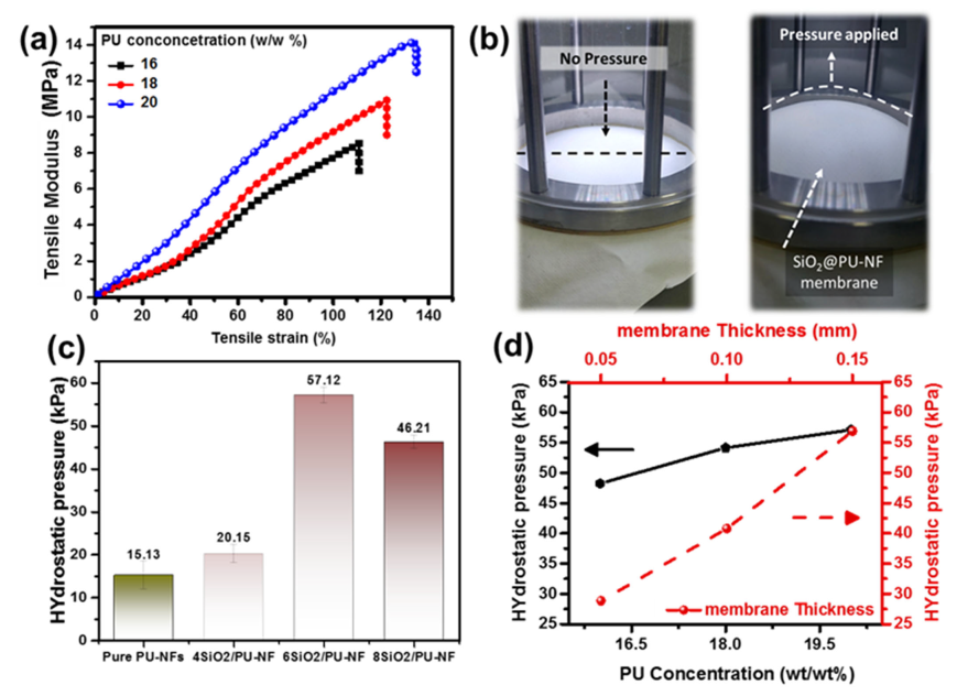 Nanomaterials 13 01146 g007 Nanomaterials 13 01146 g007