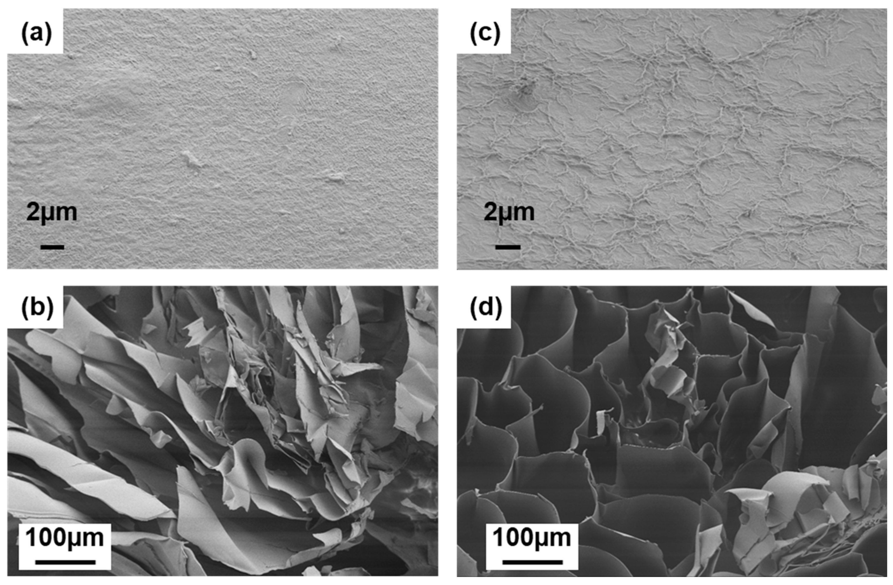 Nanomaterials 13 01161 g005