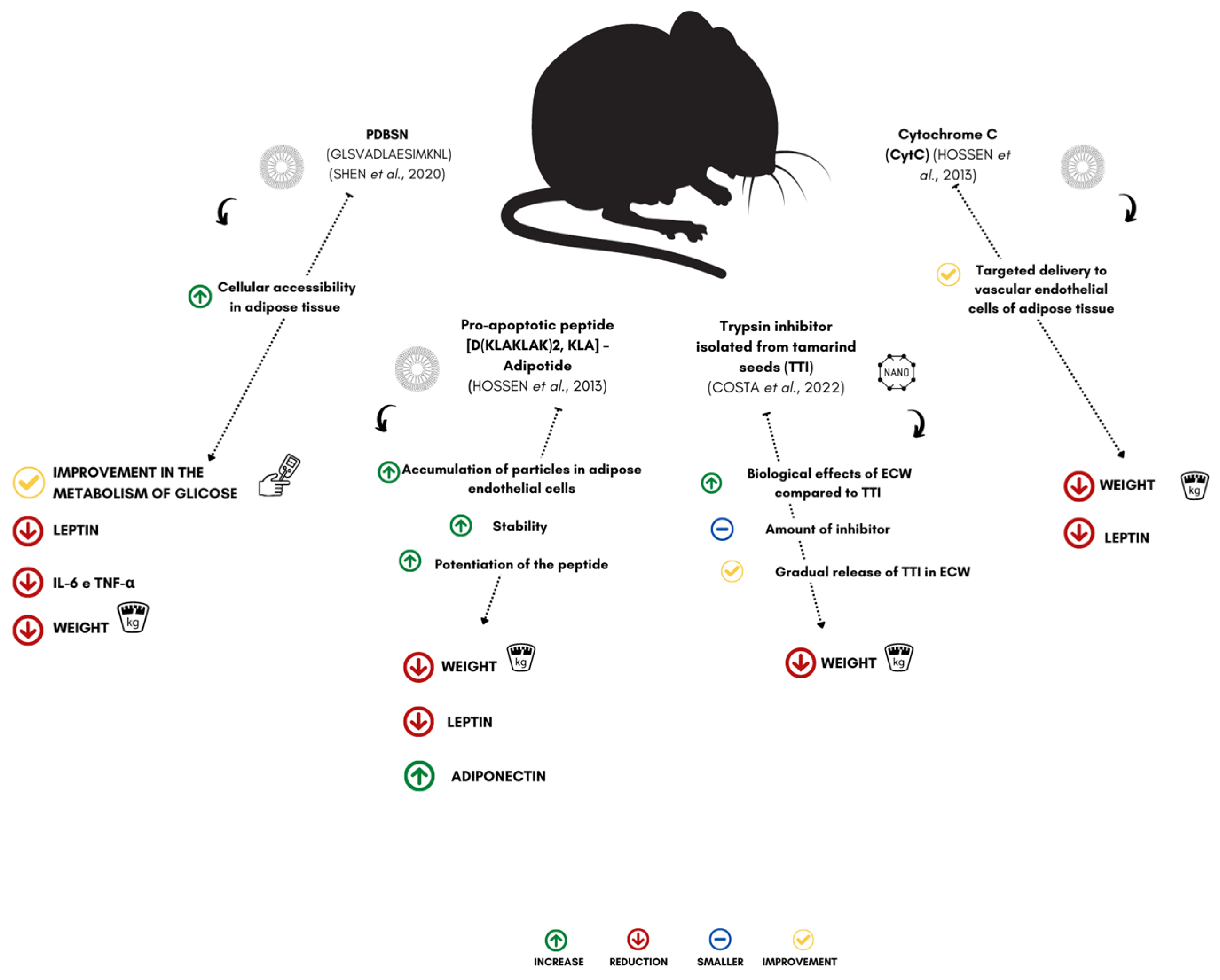 Nanomaterials 13 01166 g003 Nanomaterials 13 01166 g003