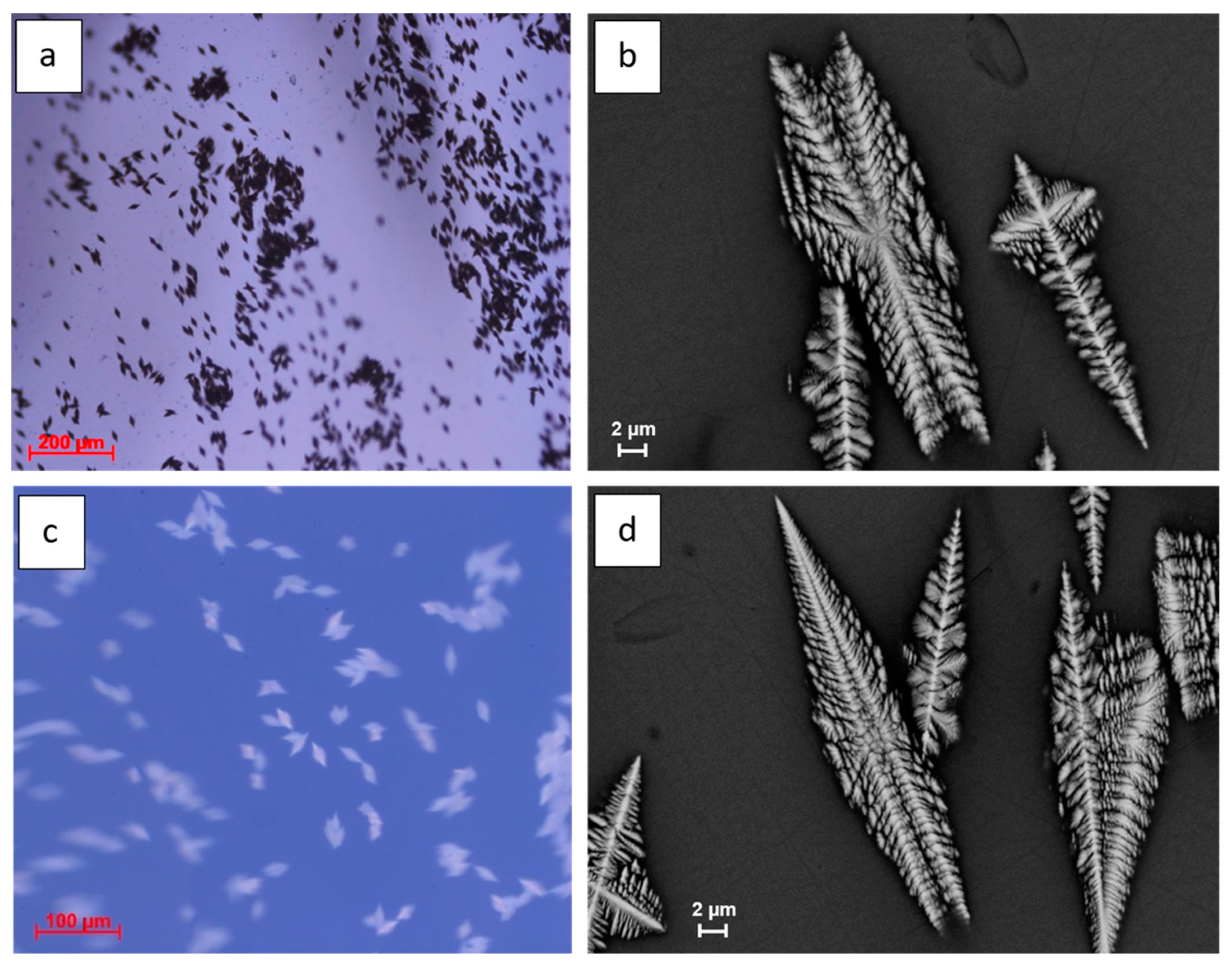 Nanomaterials 13 01168 g003 Nanomaterials 13 01168 g003