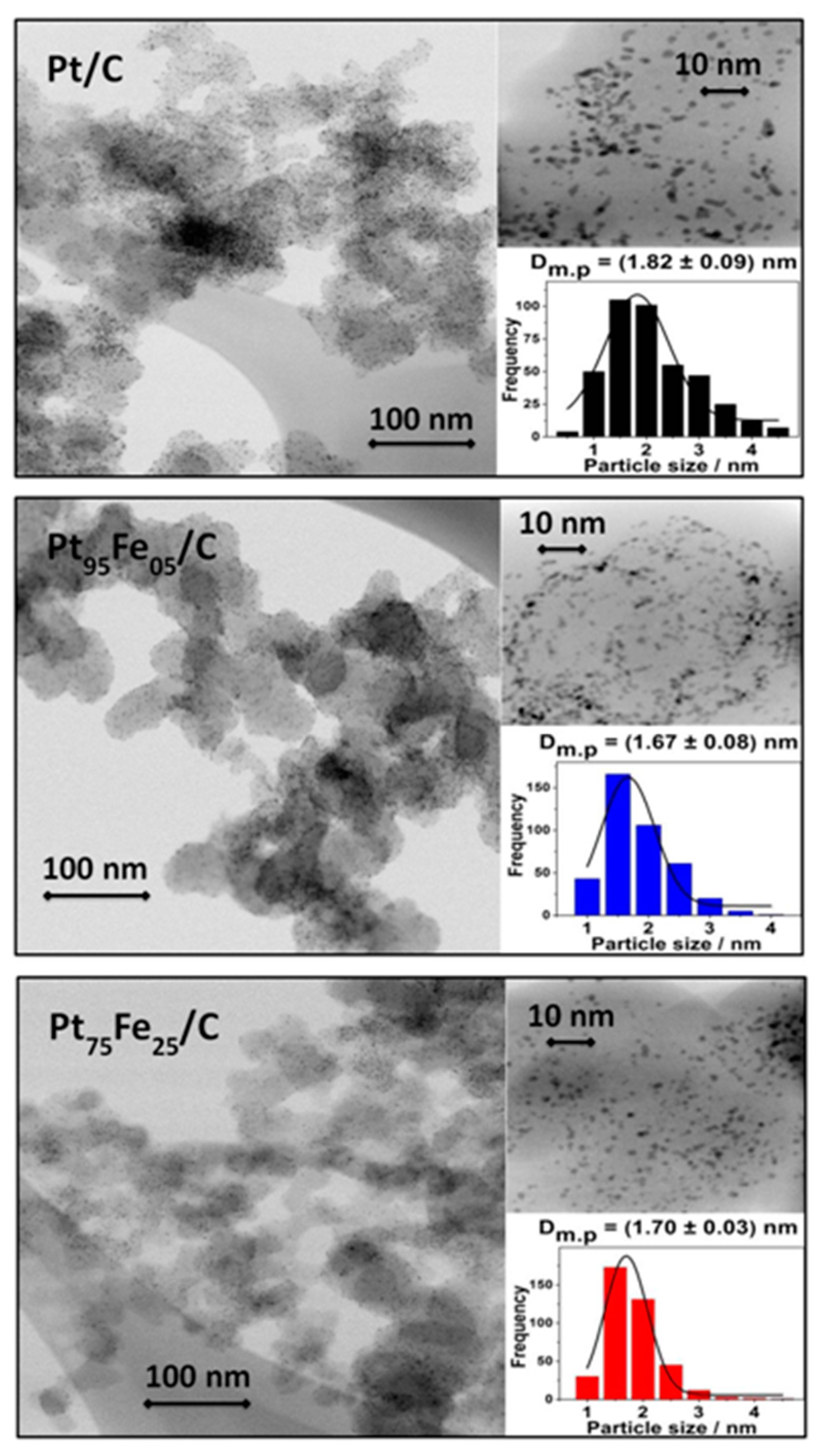 Nanomaterials 13 01173 g003