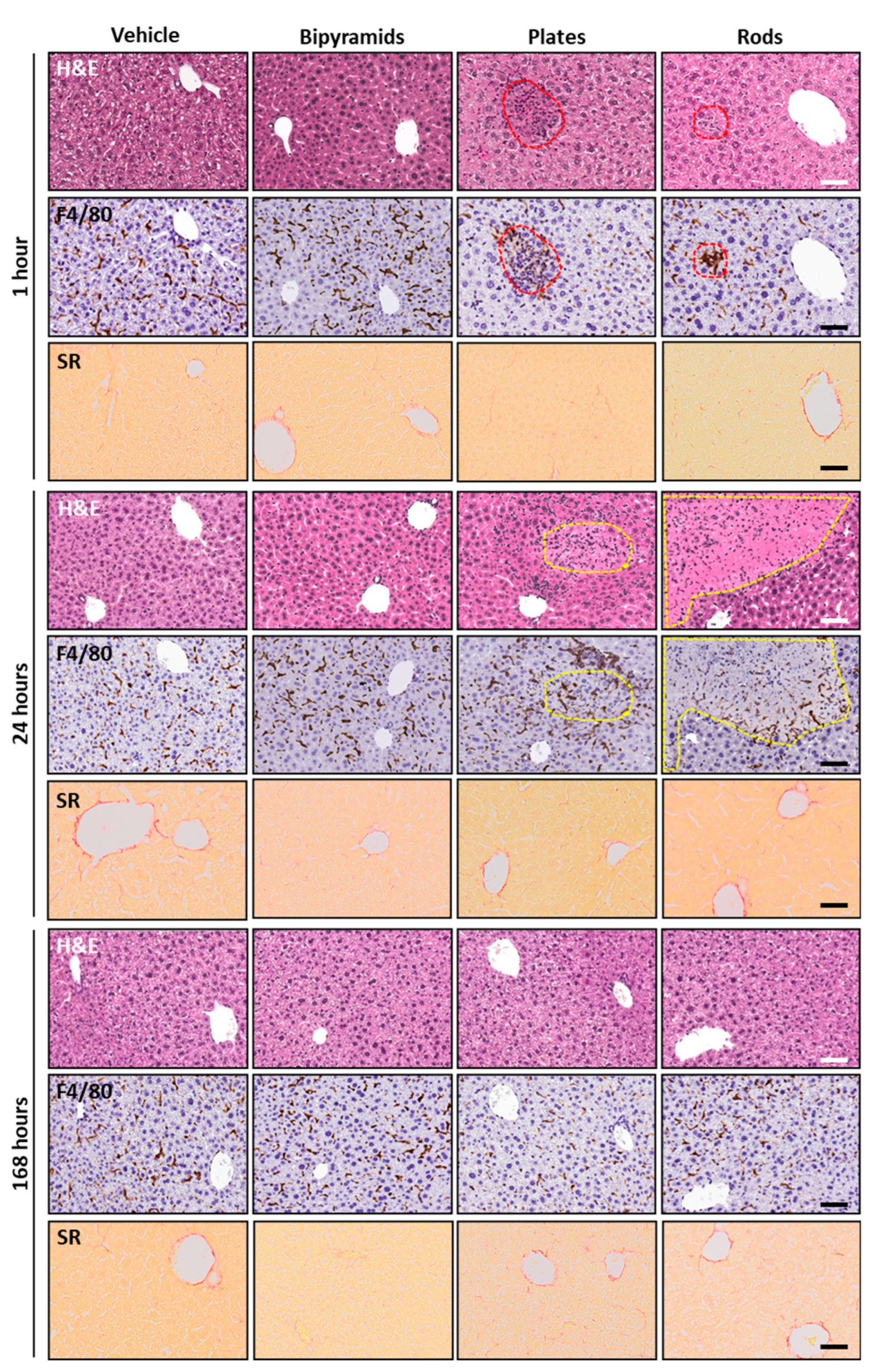 Nanomaterials 13 01174 g007 Nanomaterials 13 01174 g007