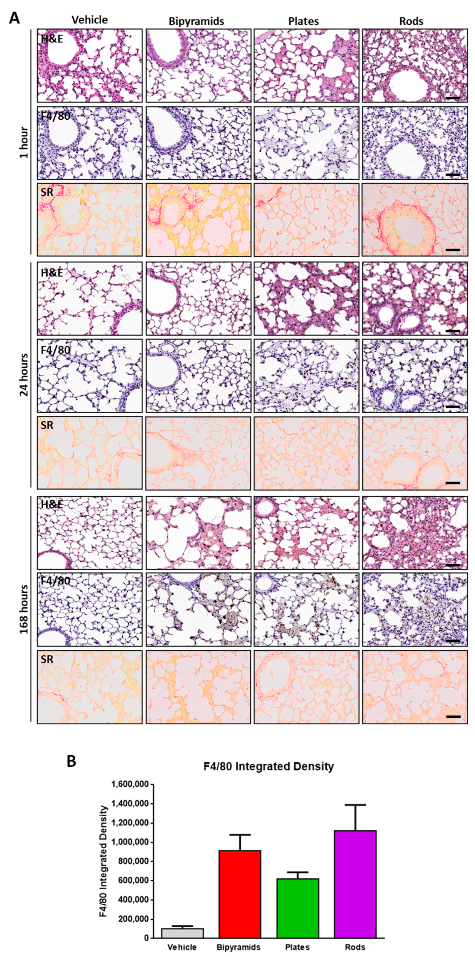 Nanomaterials 13 01174 g008 Nanomaterials 13 01174 g008