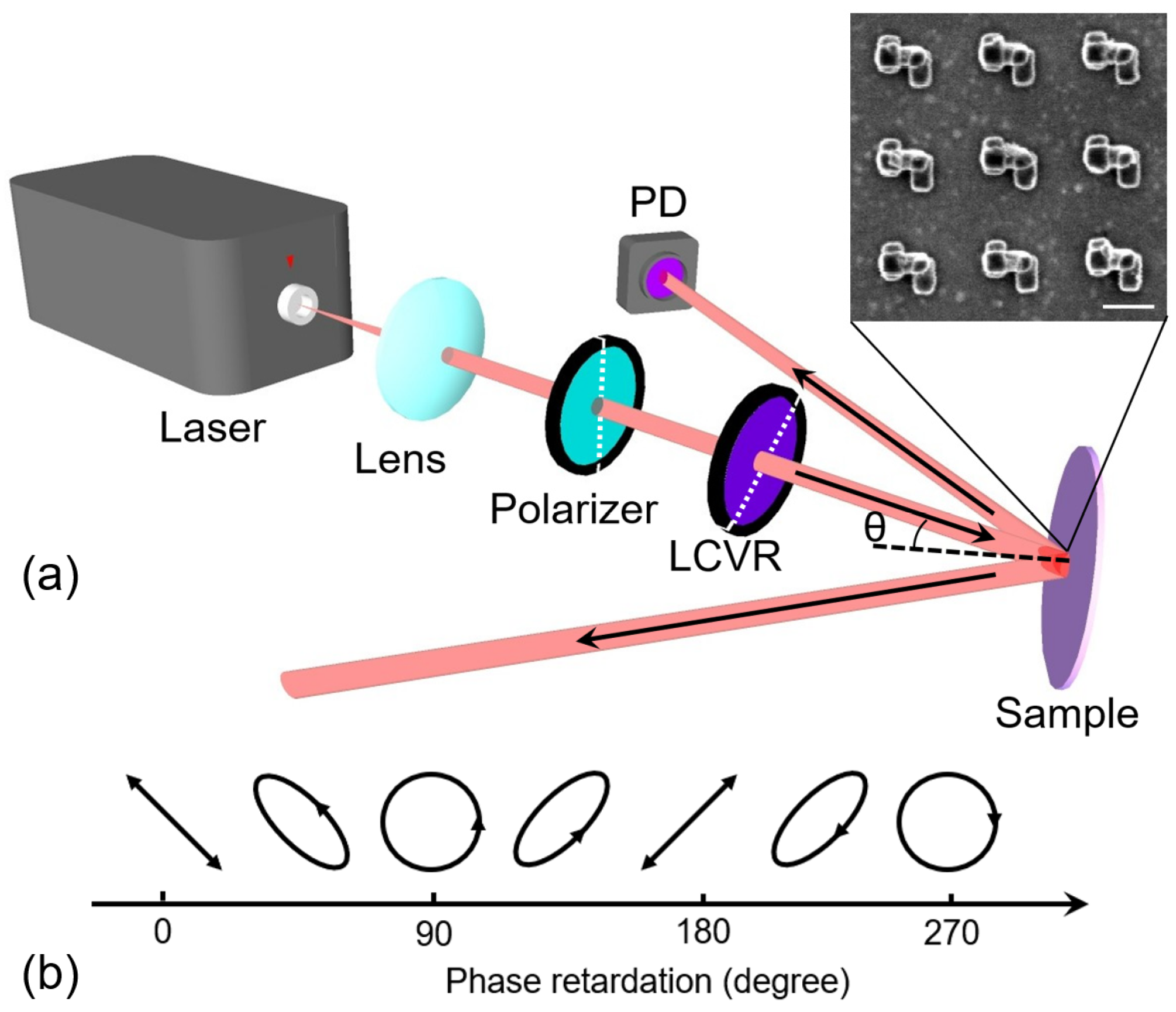 Nanomaterials 13 01175 g004