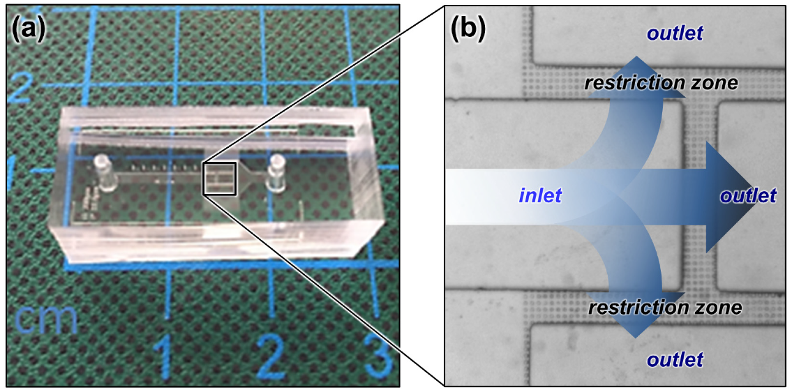 Nanomaterials 13 01184 g002 Nanomaterials 13 01184 g002
