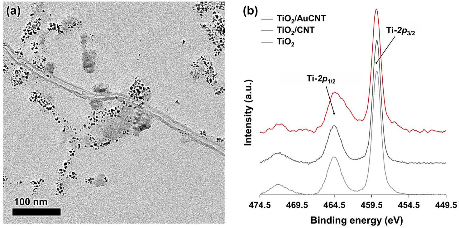 Nanomaterials 13 01184 g005 Nanomaterials 13 01184 g005