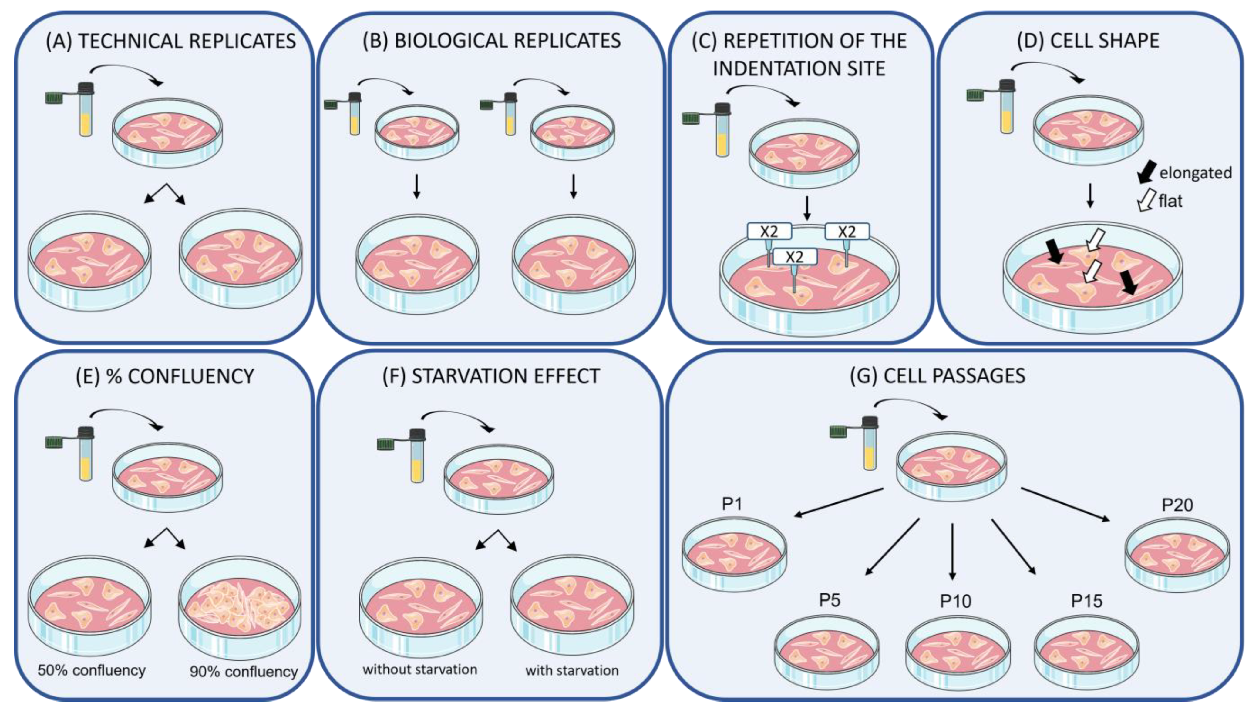 Nanomaterials 13 01190 g001