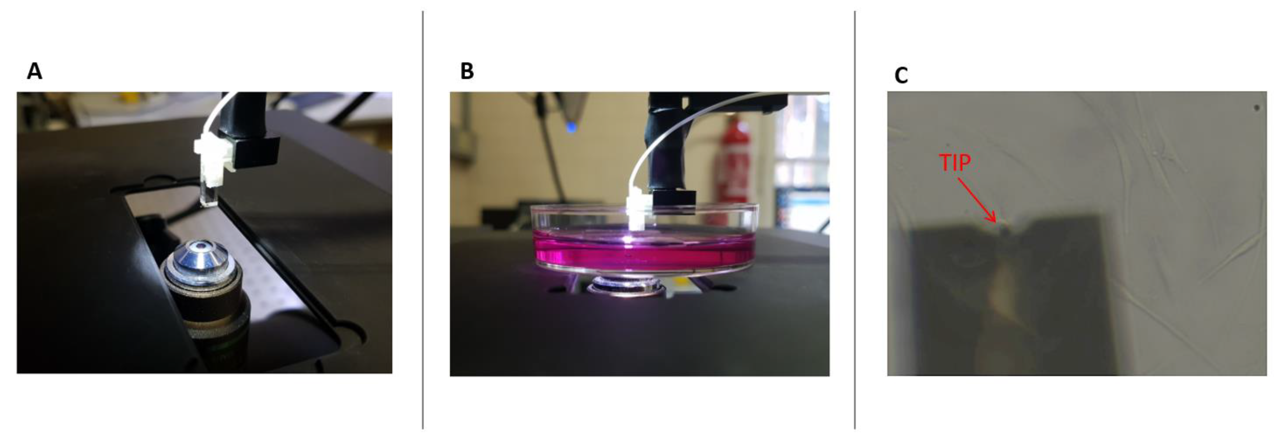 Nanomaterials 13 01190 g002