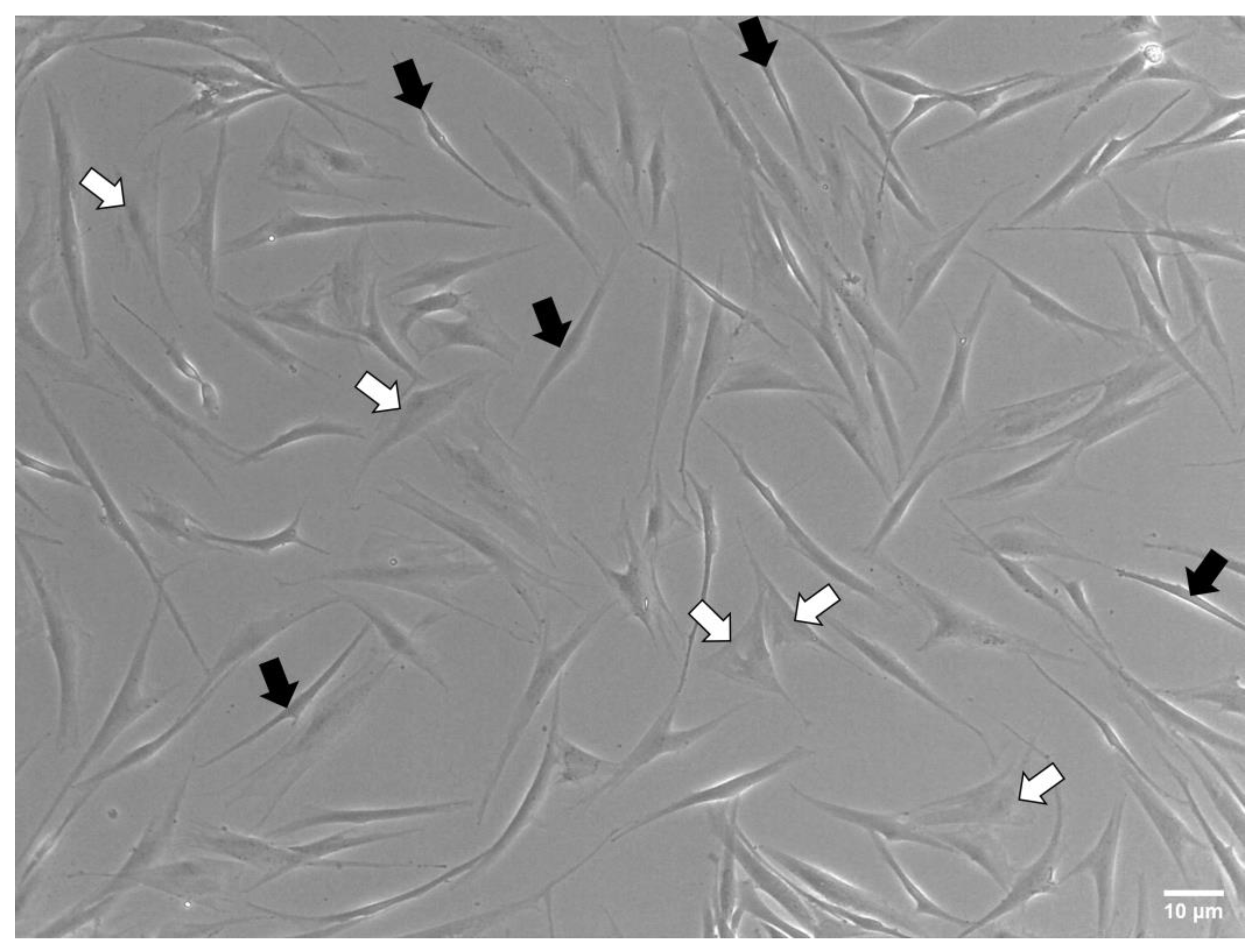 Nanomaterials 13 01190 g008
