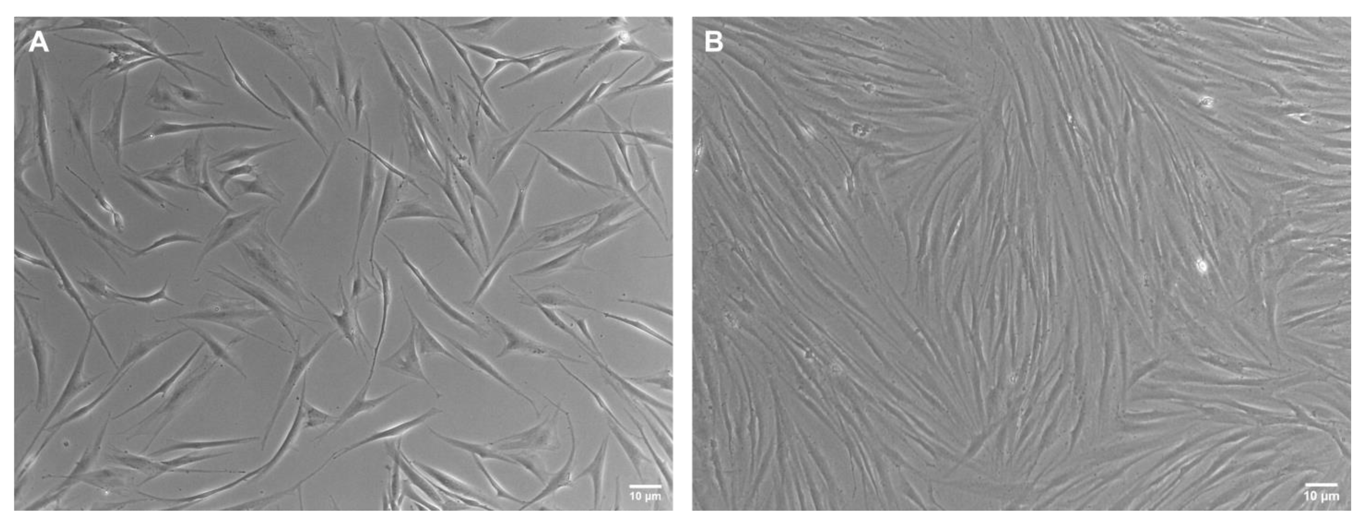 Nanomaterials 13 01190 g010