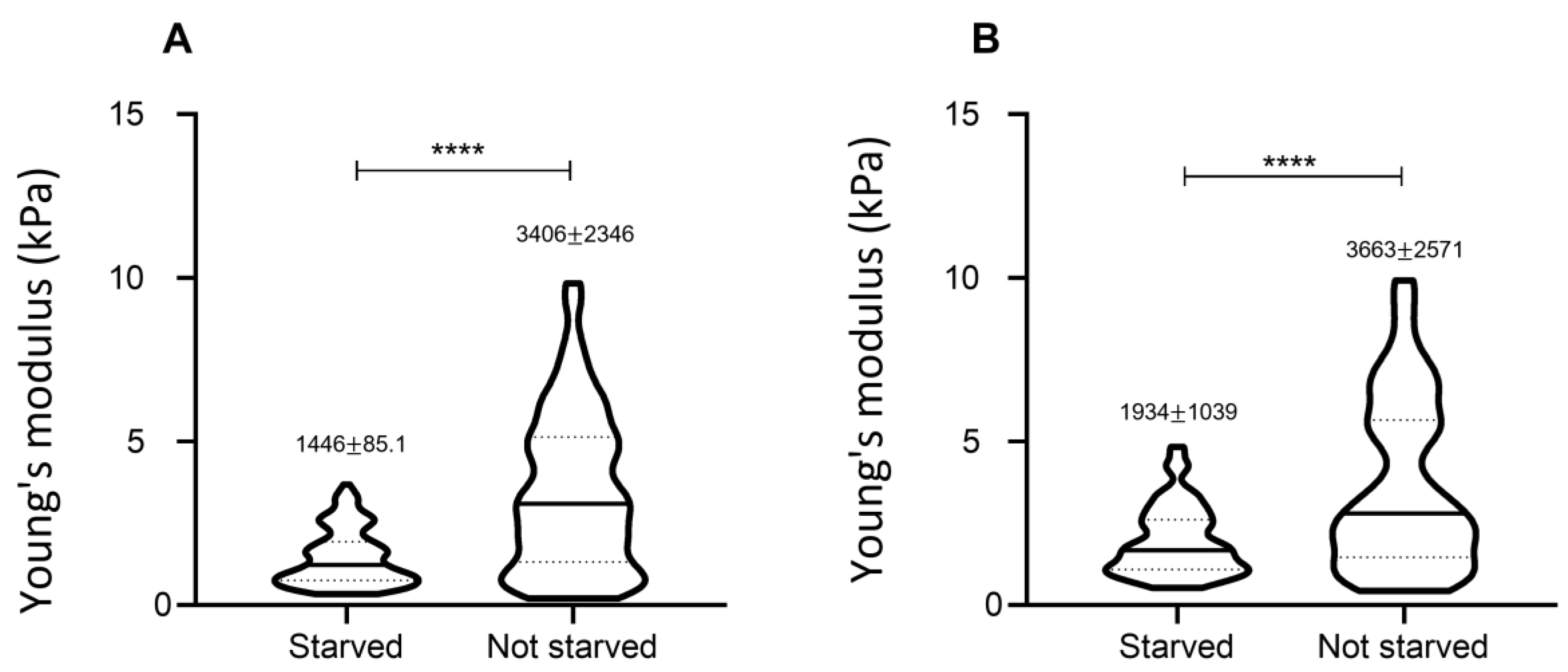 Nanomaterials 13 01190 g013