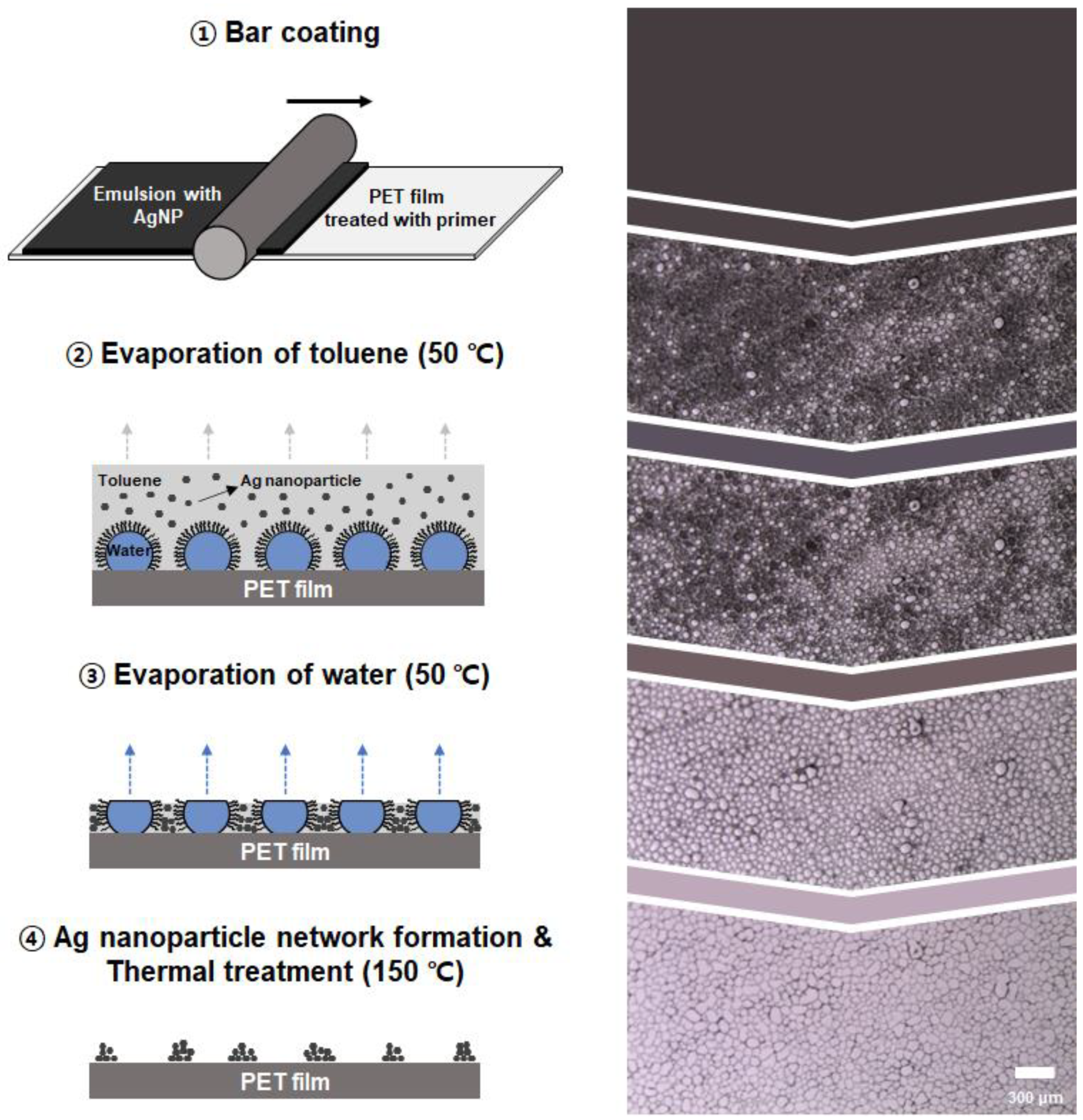 Nanomaterials 13 01191 g001 Nanomaterials 13 01191 g001
