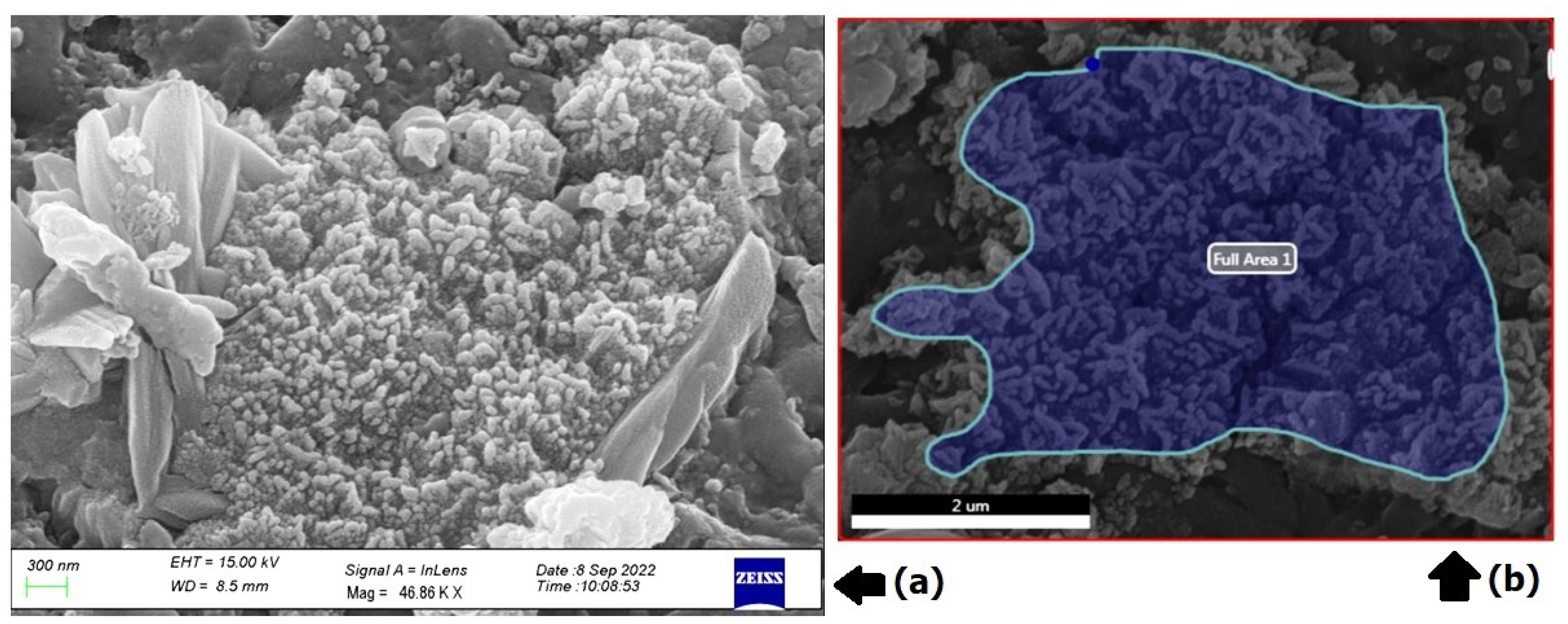 Nanomaterials 13 01201 g005 Nanomaterials 13 01201 g005