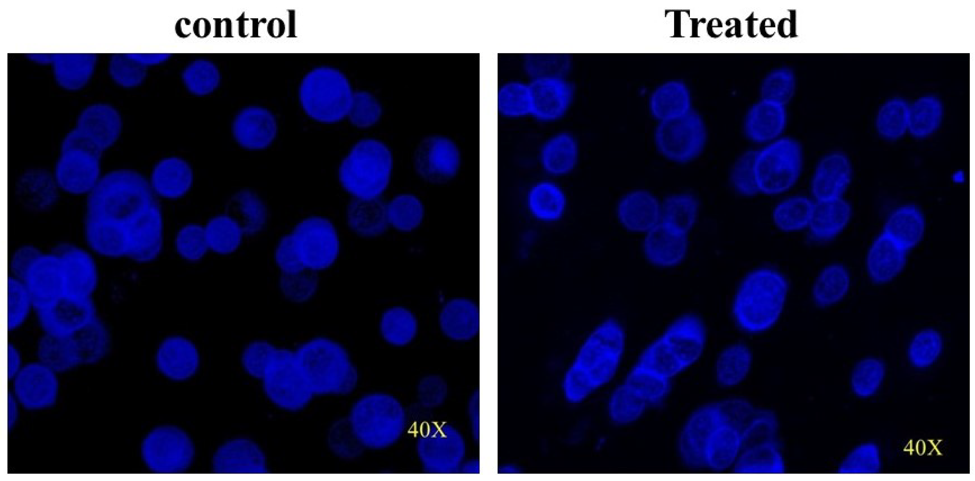 Nanomaterials 13 01201 g009 Nanomaterials 13 01201 g009