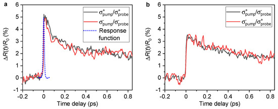 Ultrafast Dynamics of Valley-Polarized Excitons in WSe2 Monolayer ...