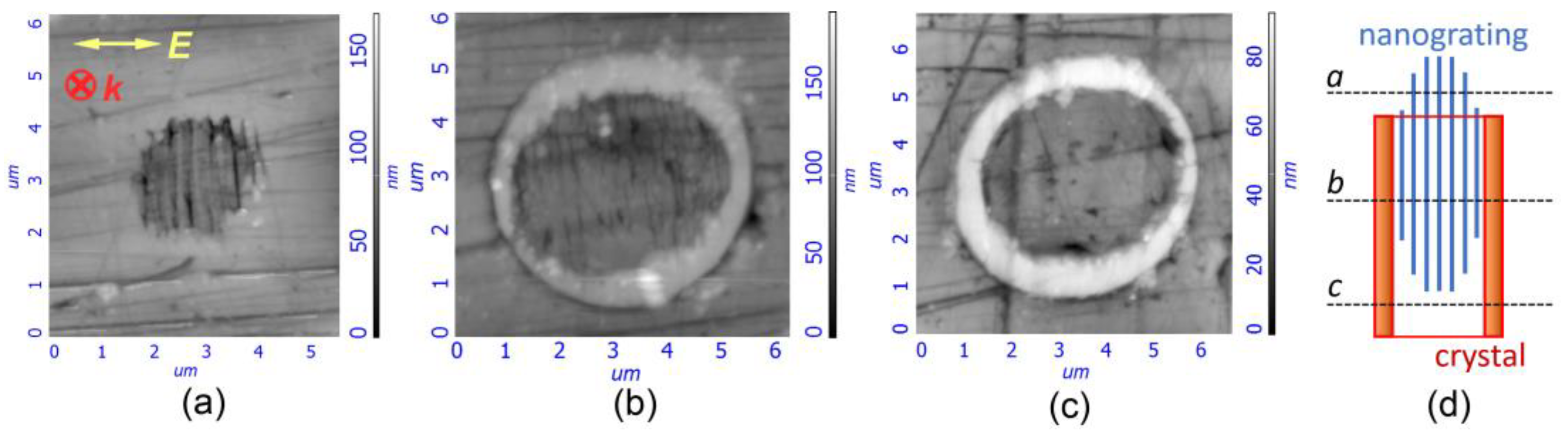 Nanomaterials 13 01208 g003
