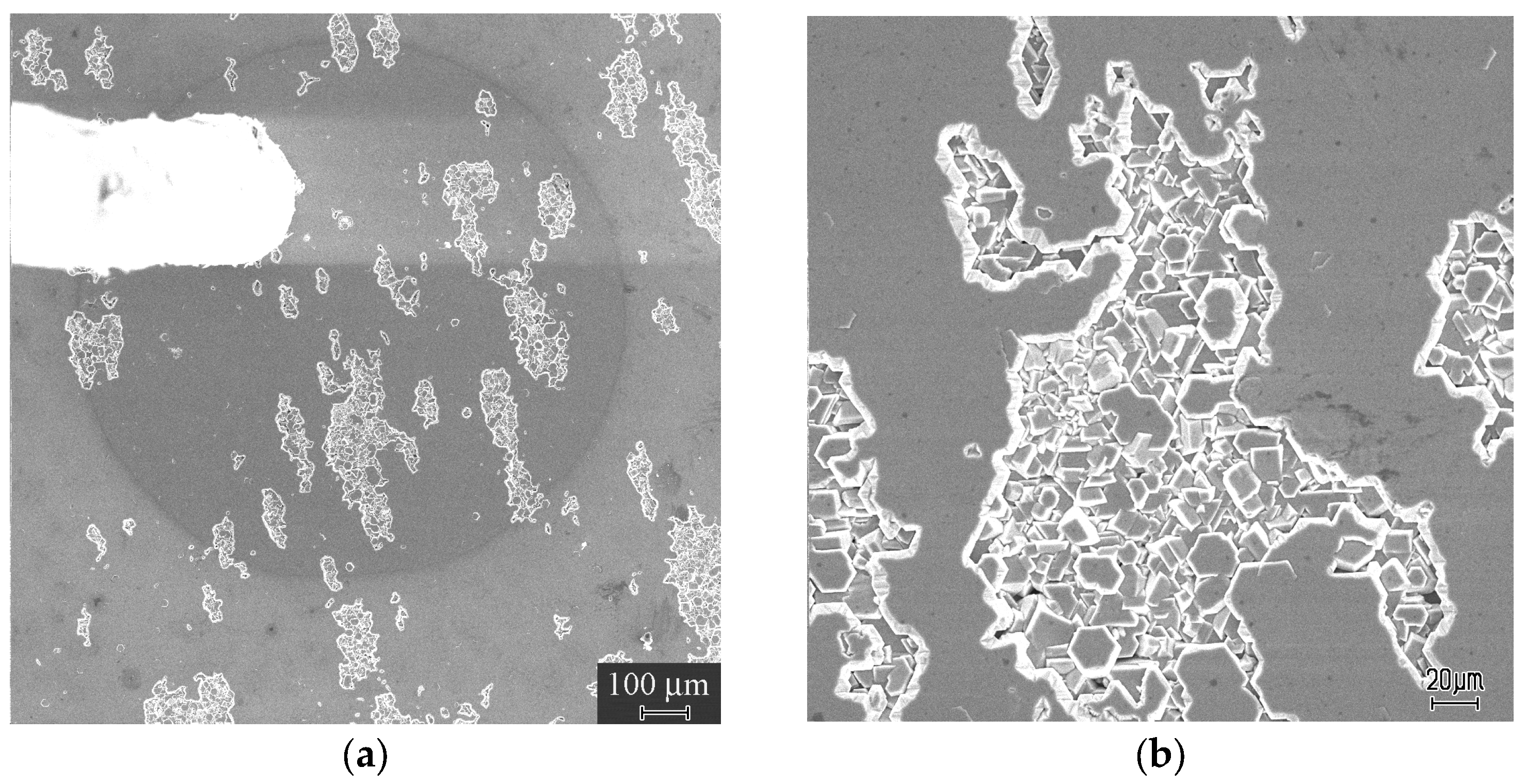 Nanomaterials 13 01214 g002