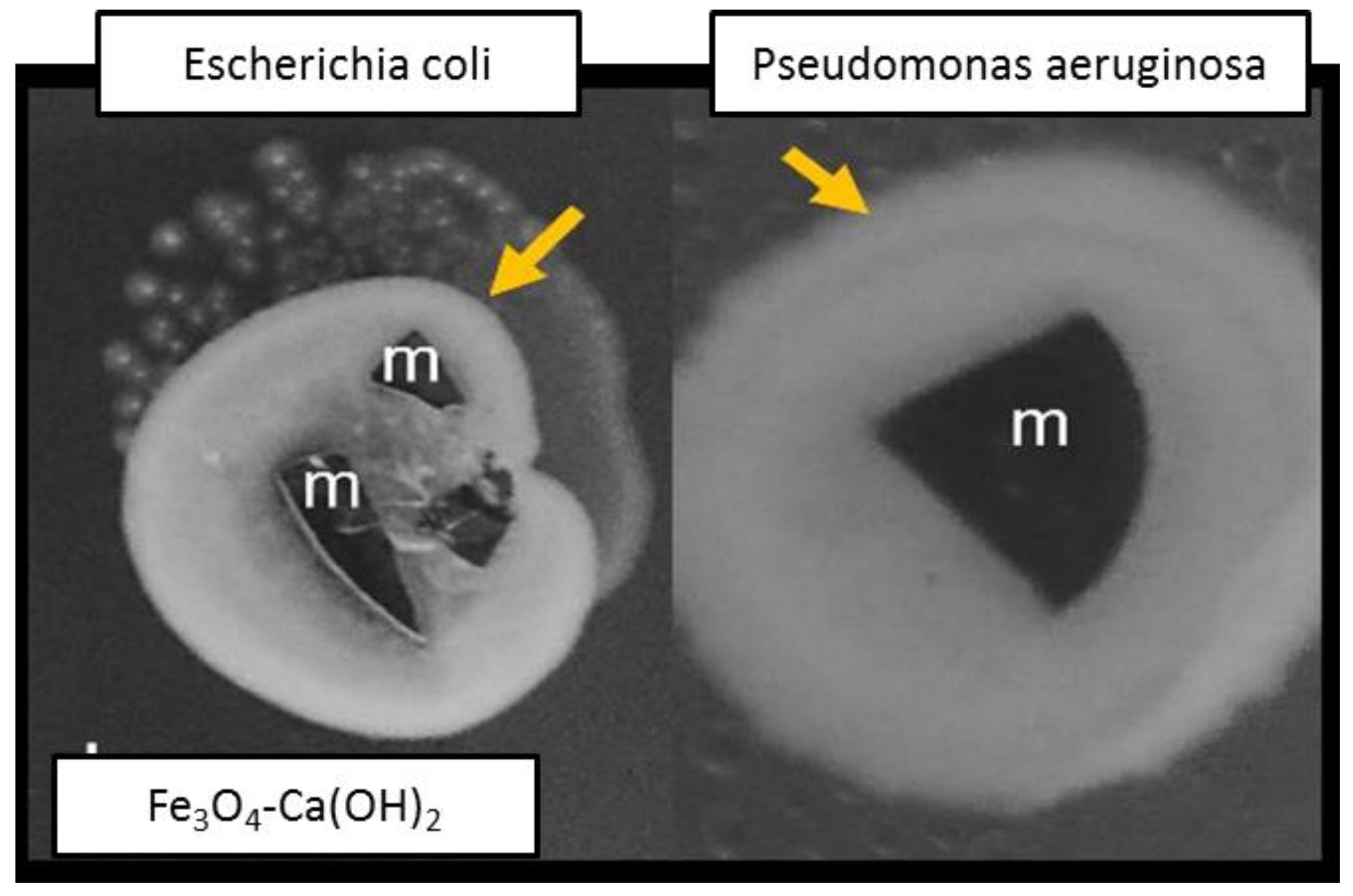 Nanomaterials 13 01215 g007