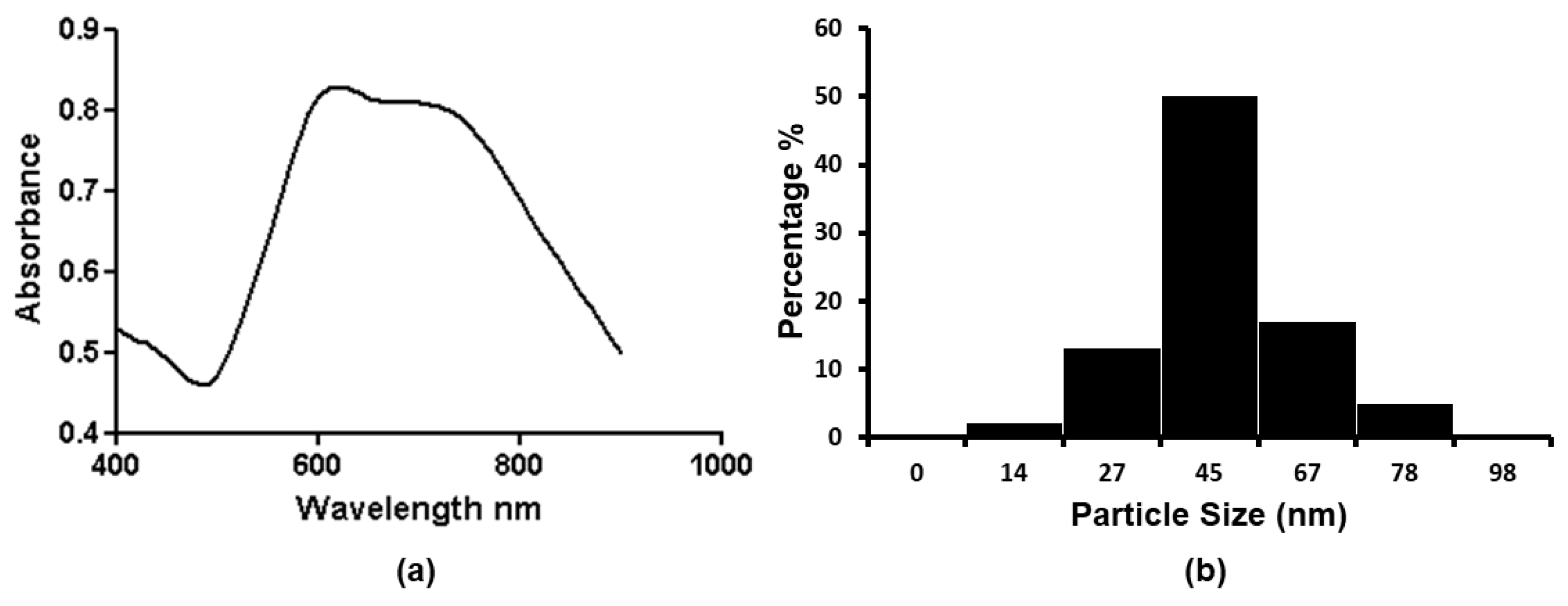 Nanomaterials 13 01216 g001