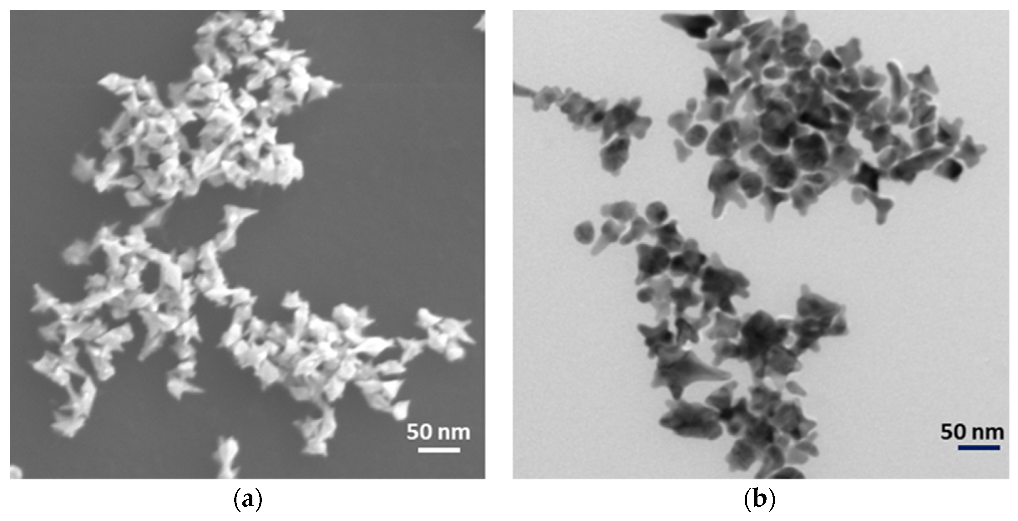 Nanomaterials 13 01216 g002