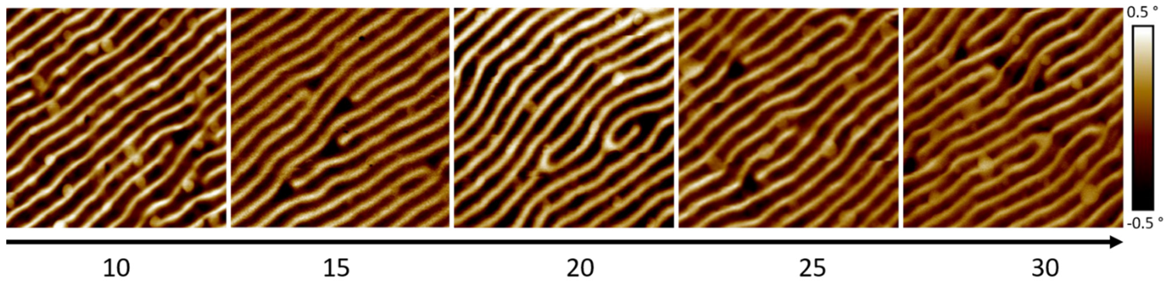 Nanomaterials 13 01217 g003
